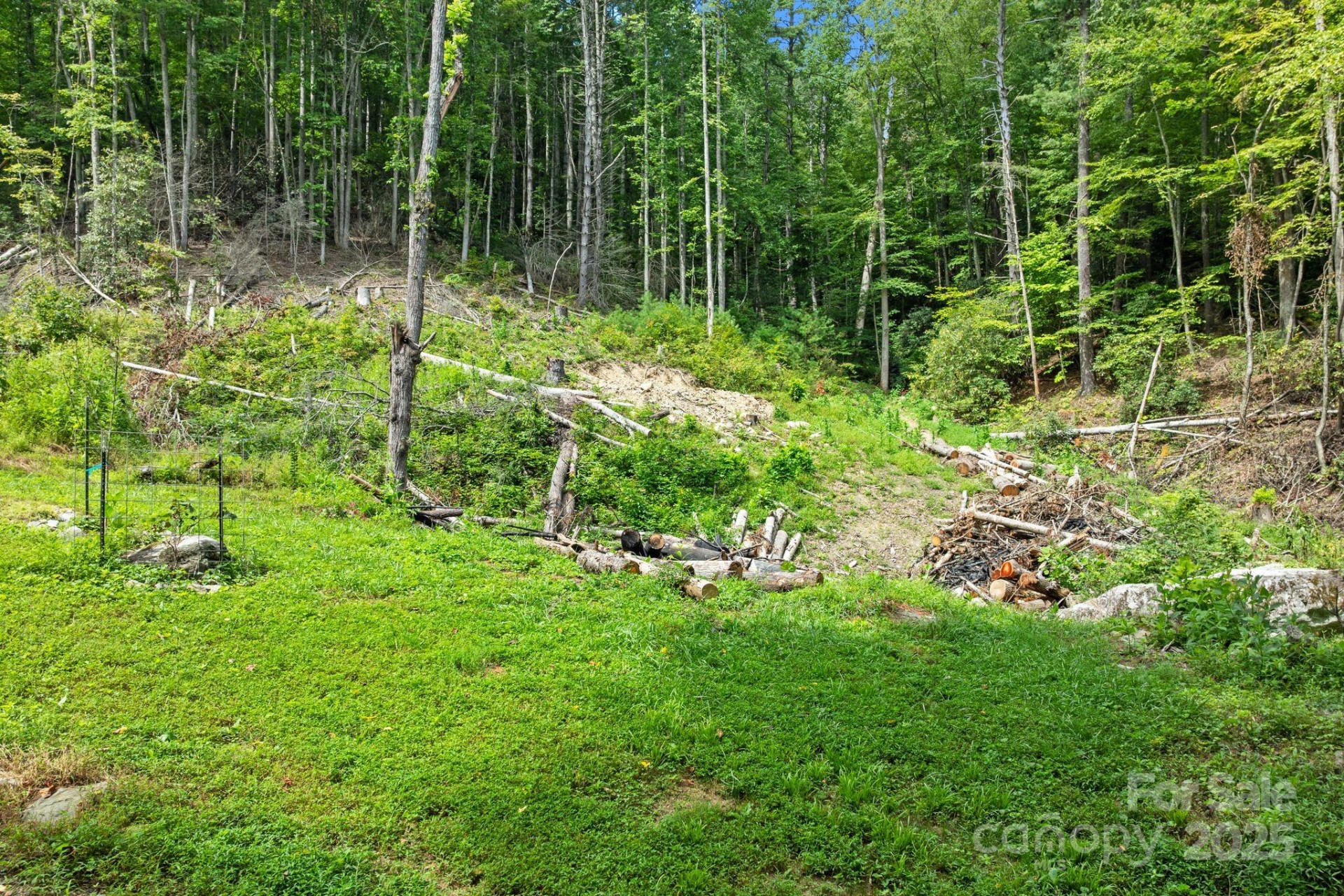 ### Bluff Mountain Road - Photo 26