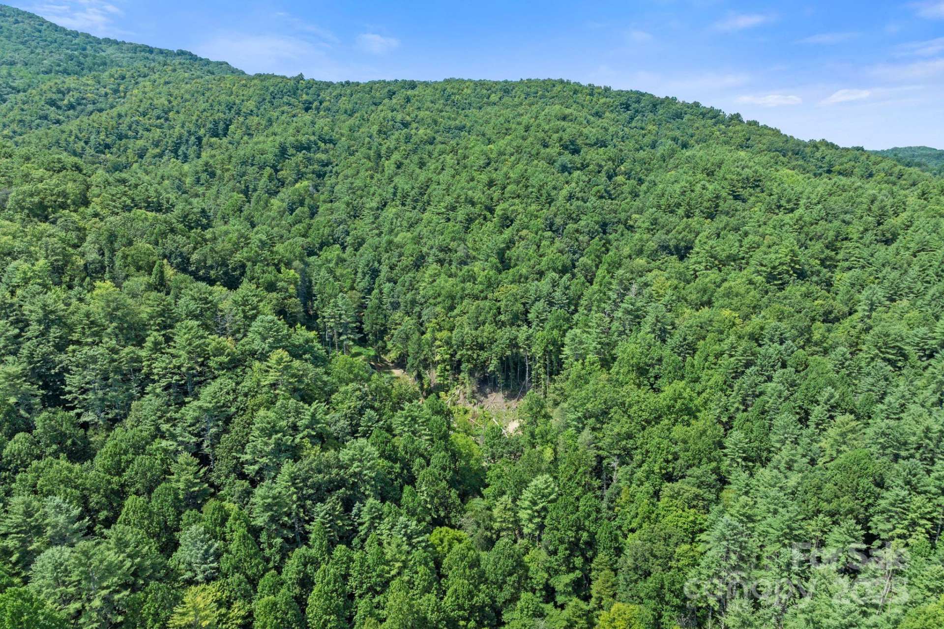 ### Bluff Mountain Road - Photo 28