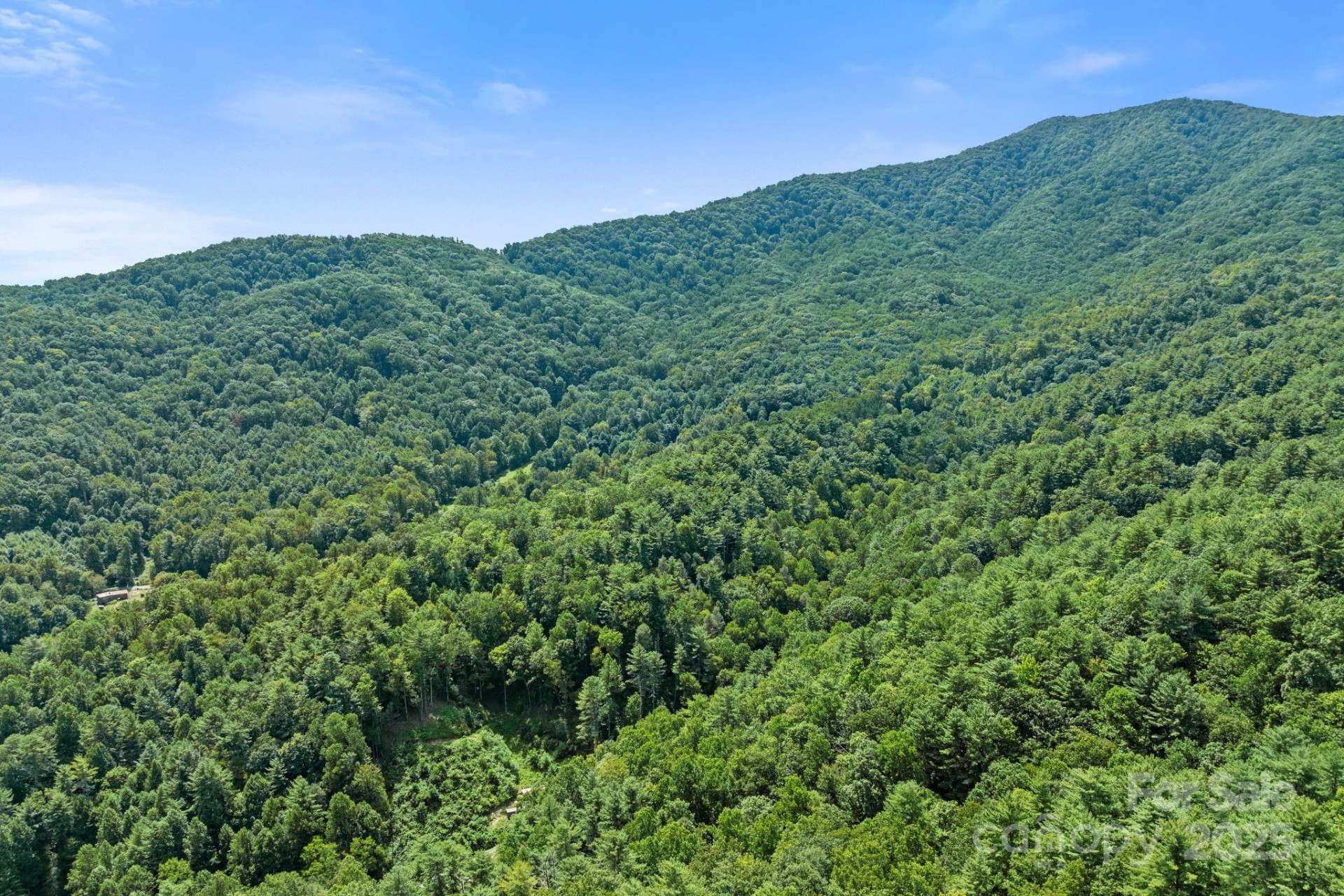 ### Bluff Mountain Road - Photo 29