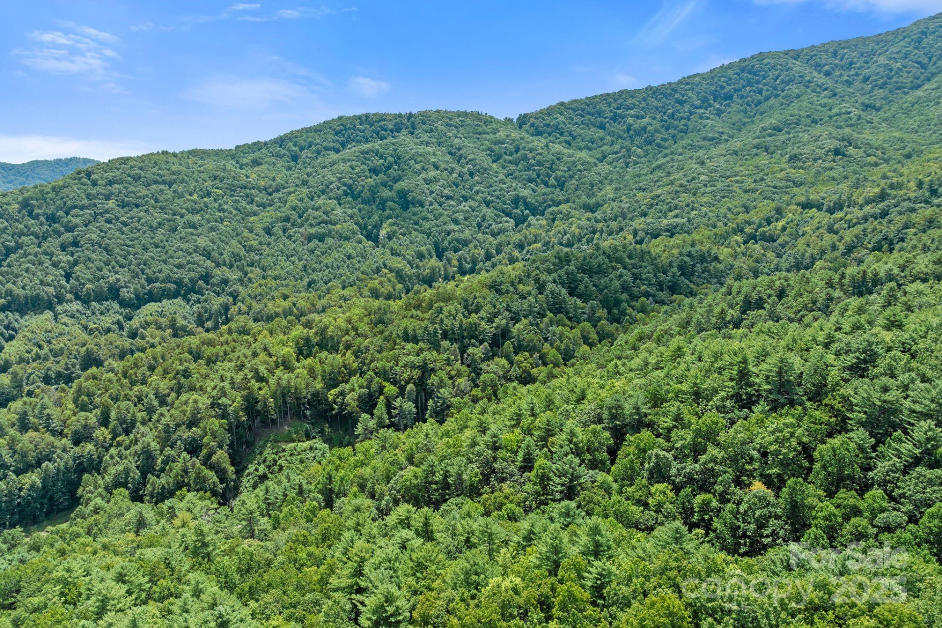 ### Bluff Mountain Road - Photo 30