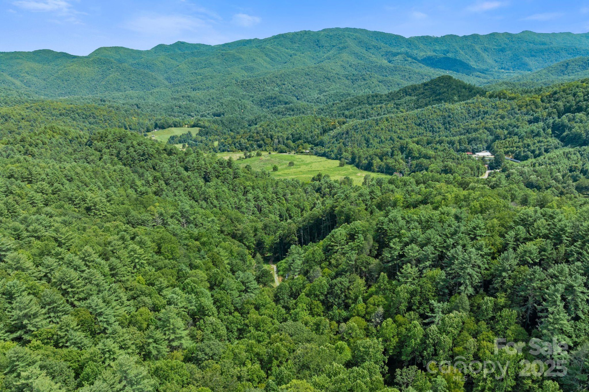 ### Bluff Mountain Road - Photo 32