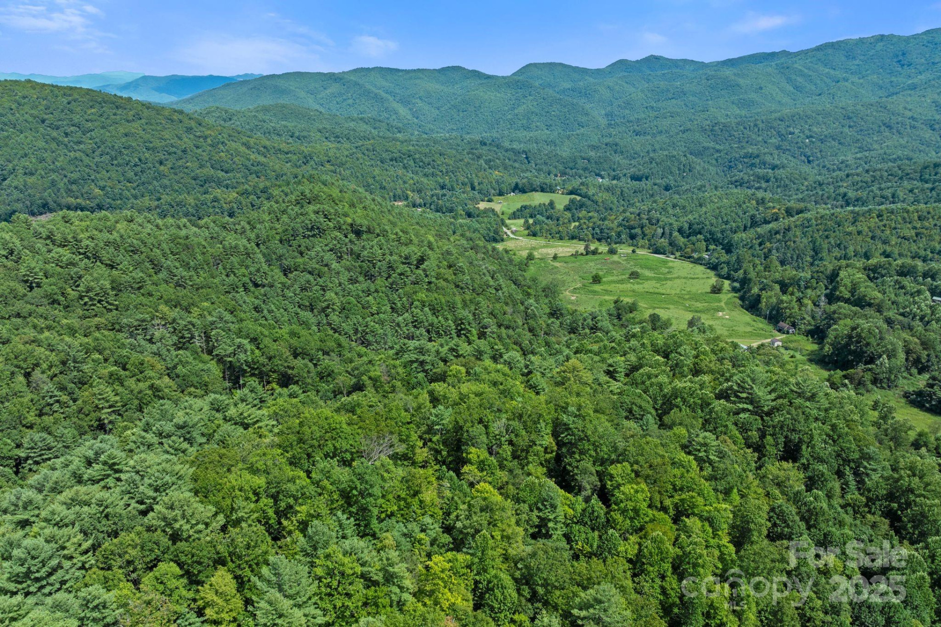 ### Bluff Mountain Road - Photo 33