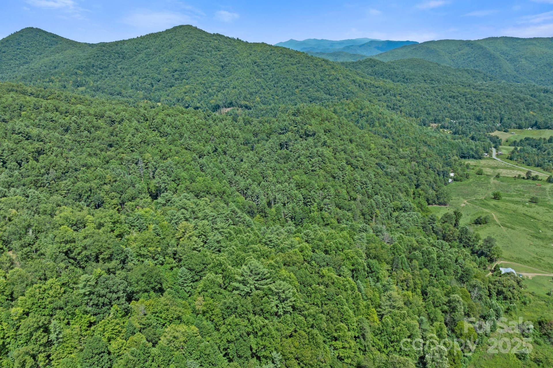 ### Bluff Mountain Road - Photo 34