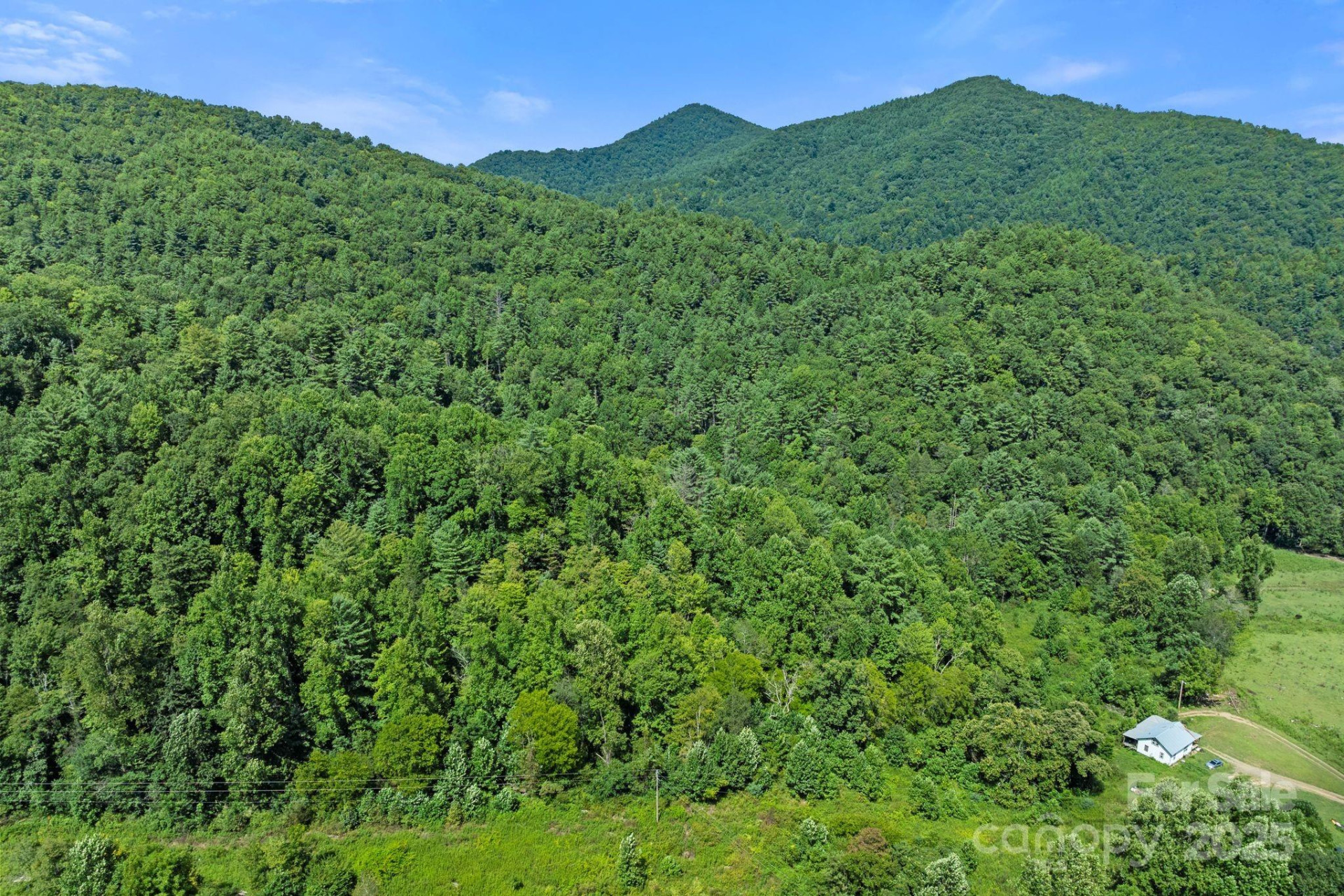 ### Bluff Mountain Road - Photo 35