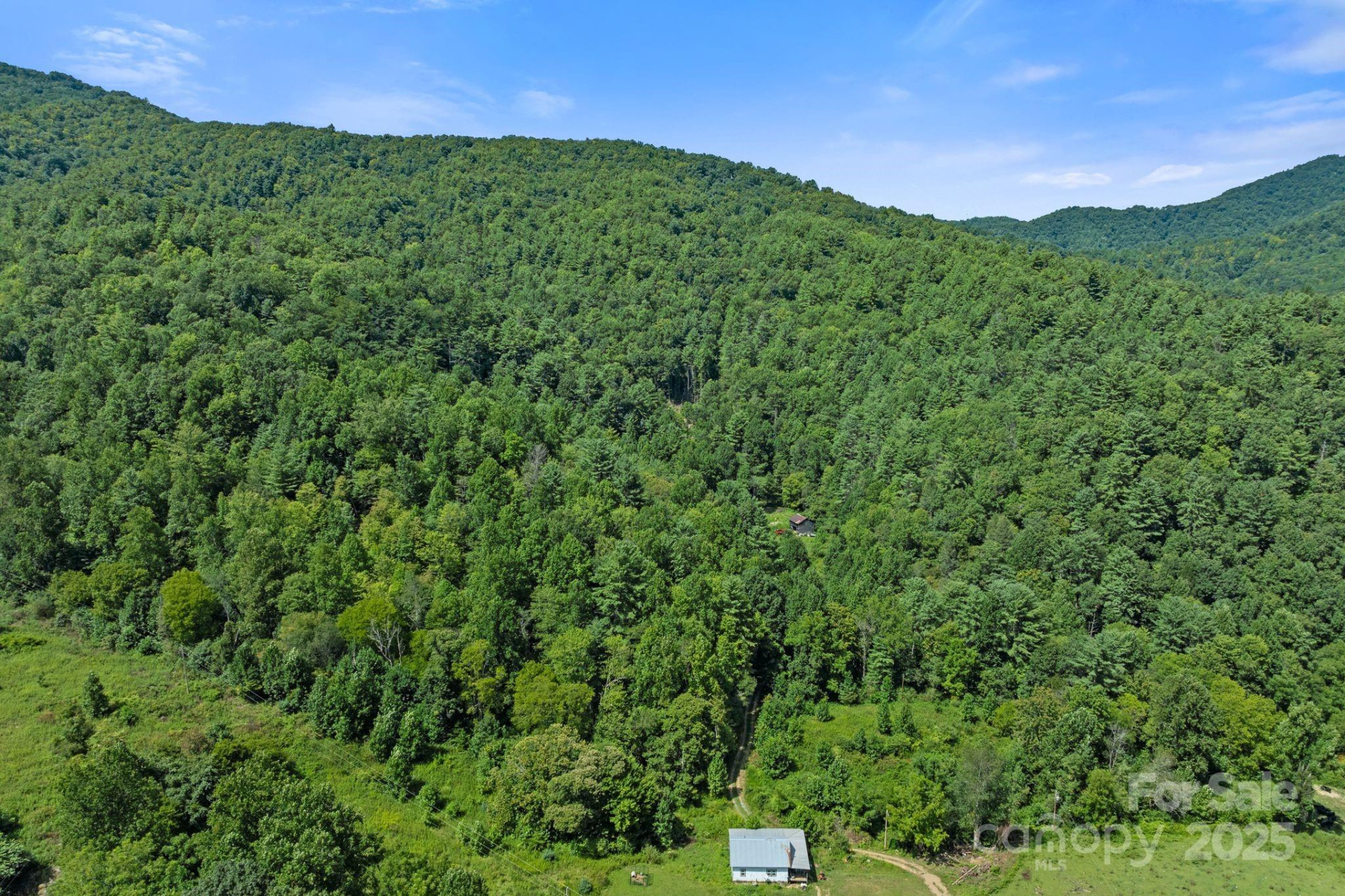 ### Bluff Mountain Road - Photo 36