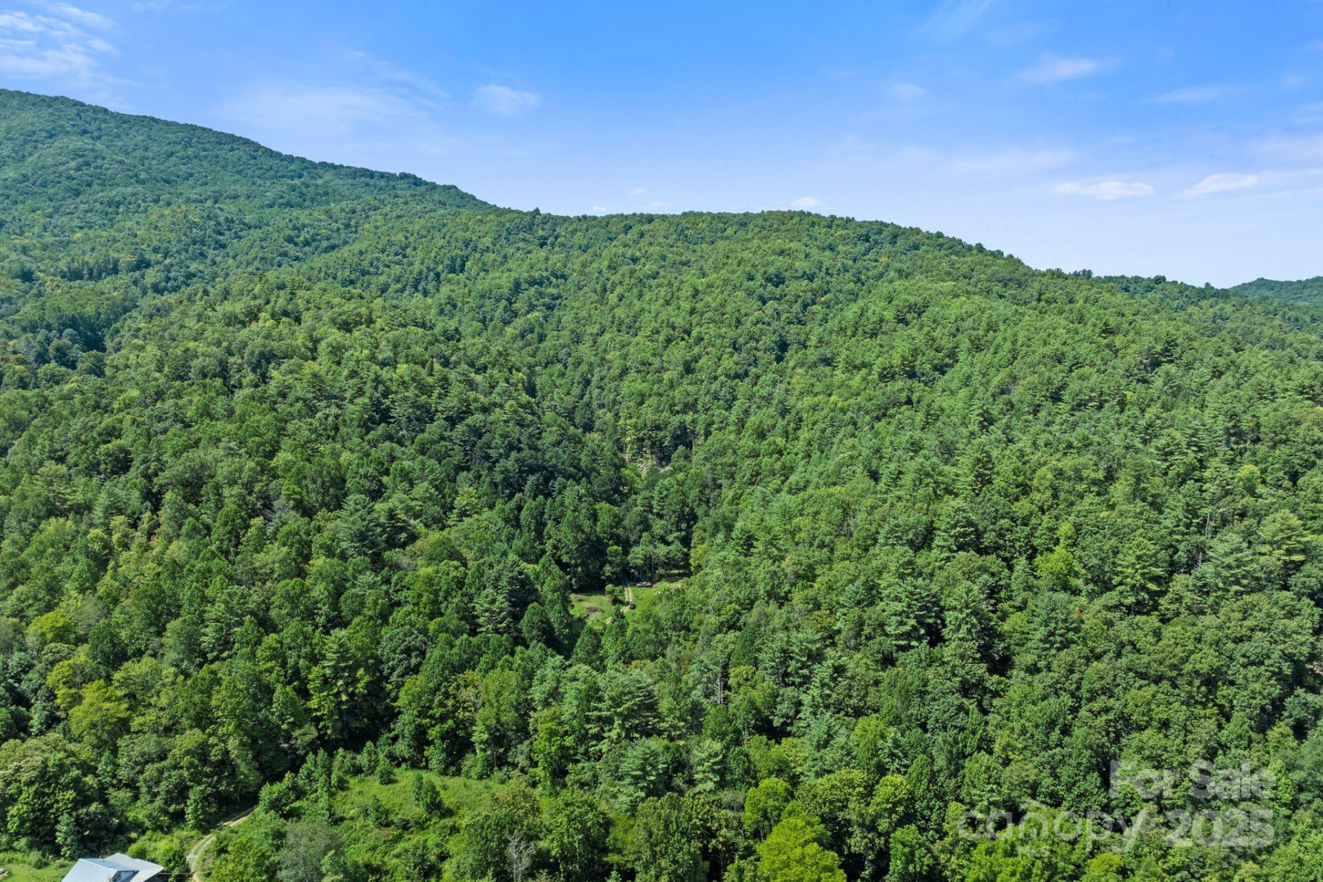 ### Bluff Mountain Road - Photo 37