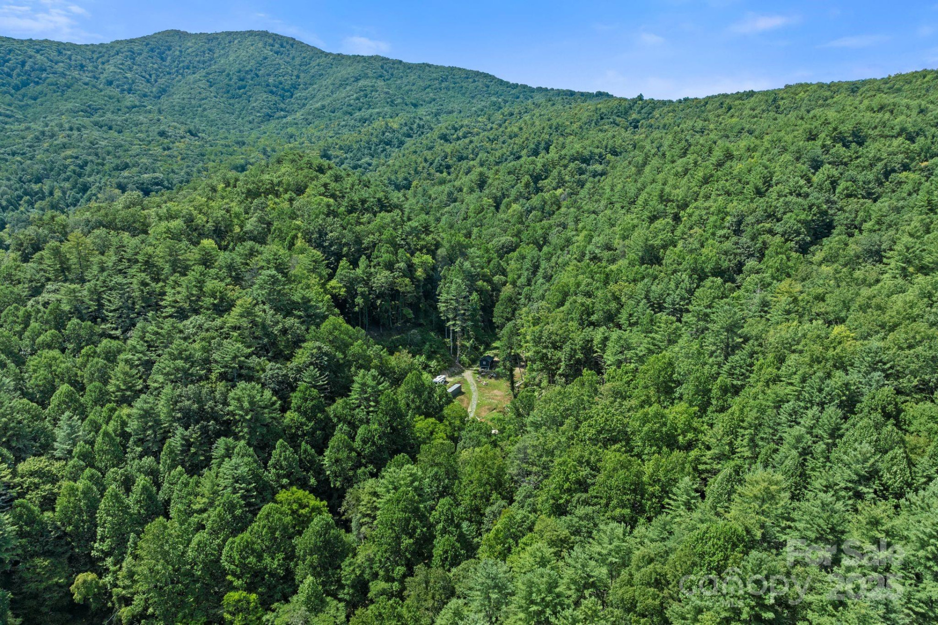 ### Bluff Mountain Road - Photo 38