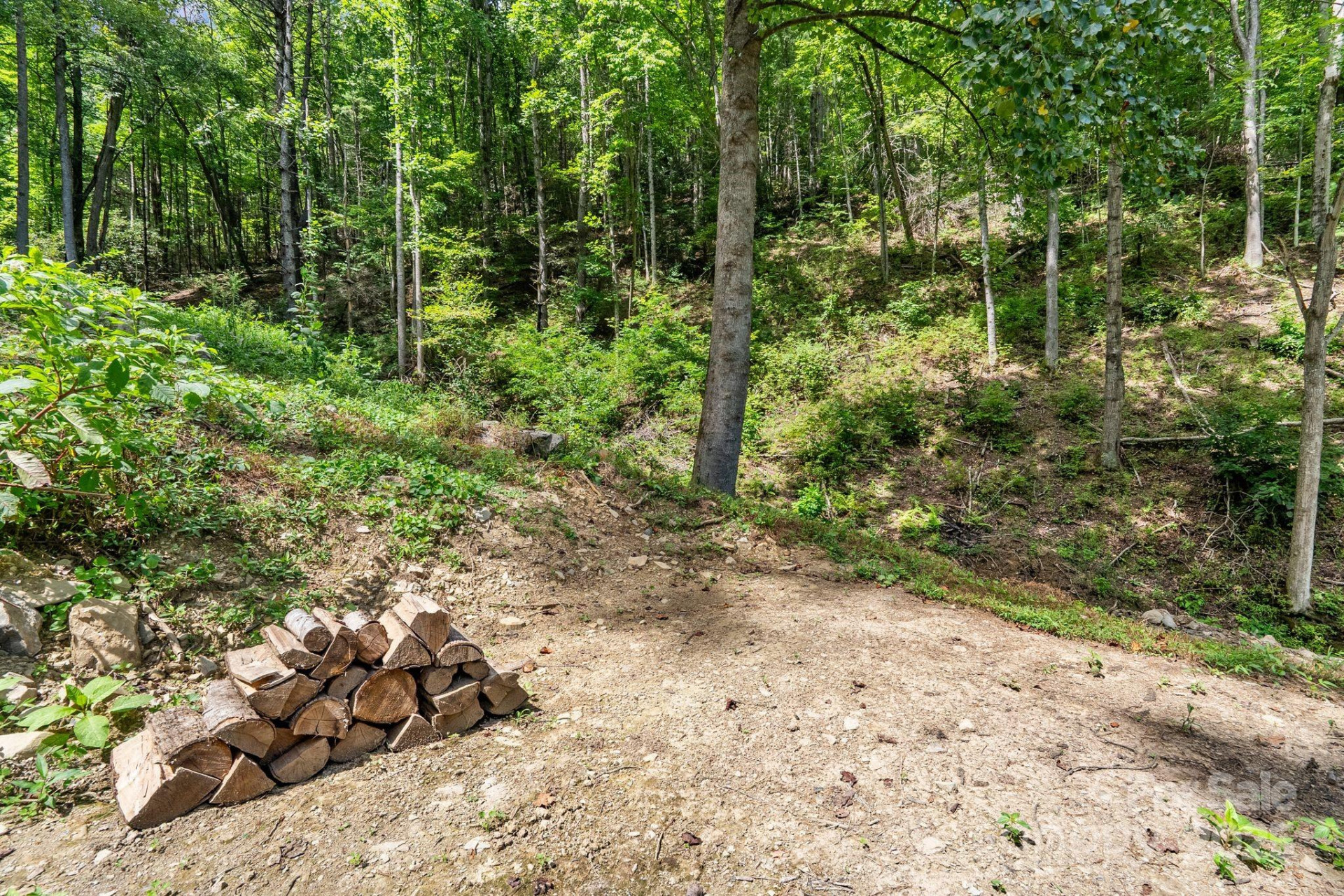 ### Bluff Mountain Road - Photo 10