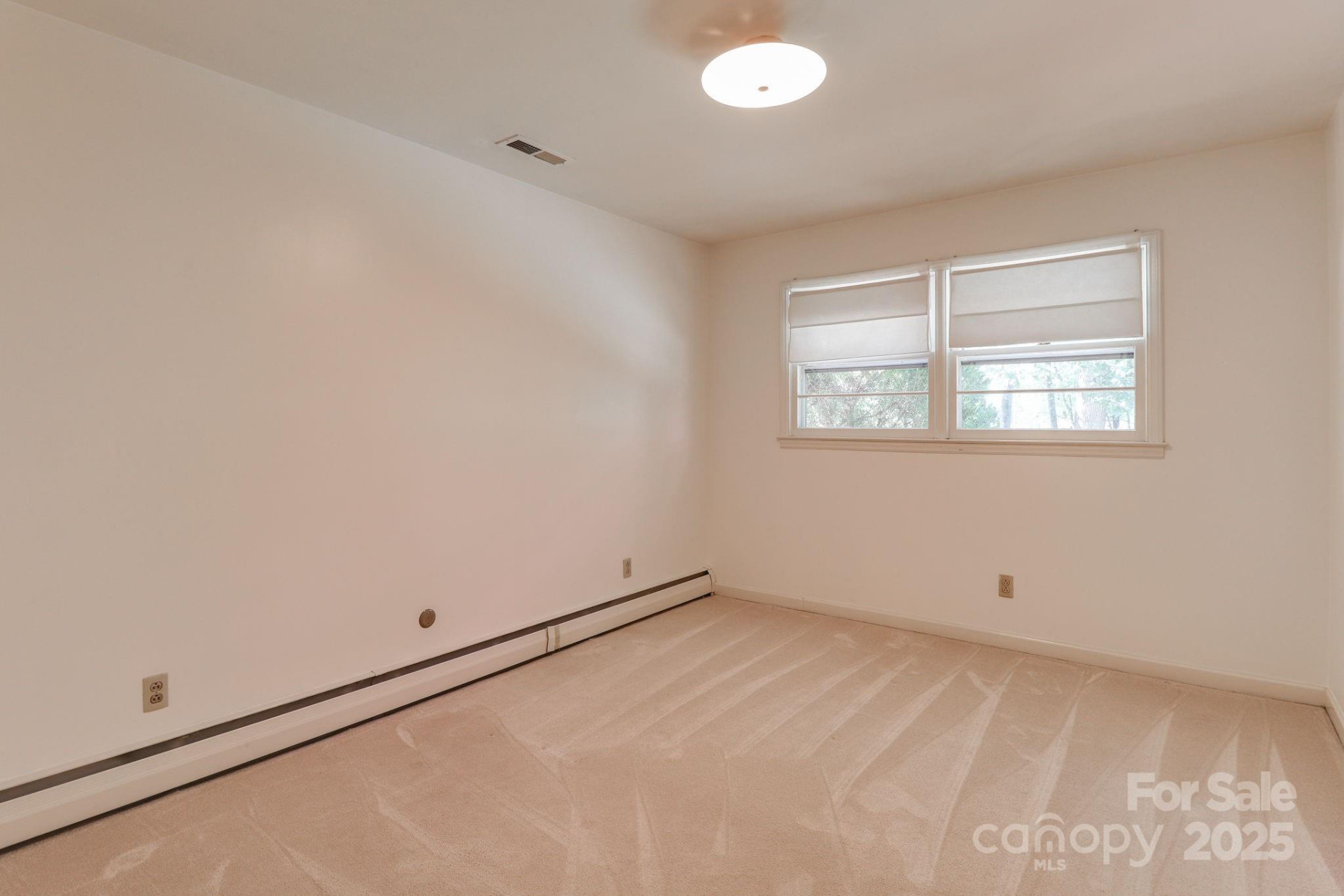 254 Mount Carmel Road - Photo 28