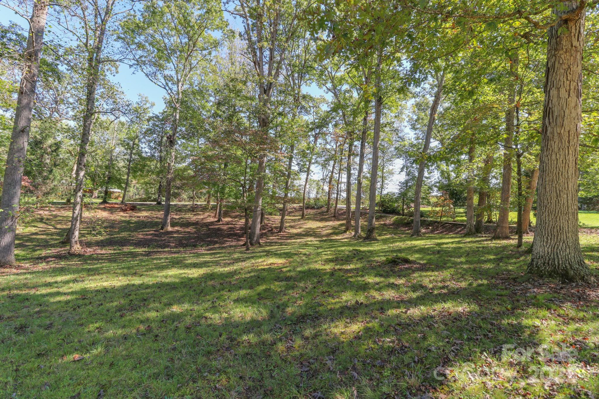 254 Mount Carmel Road - Photo 36