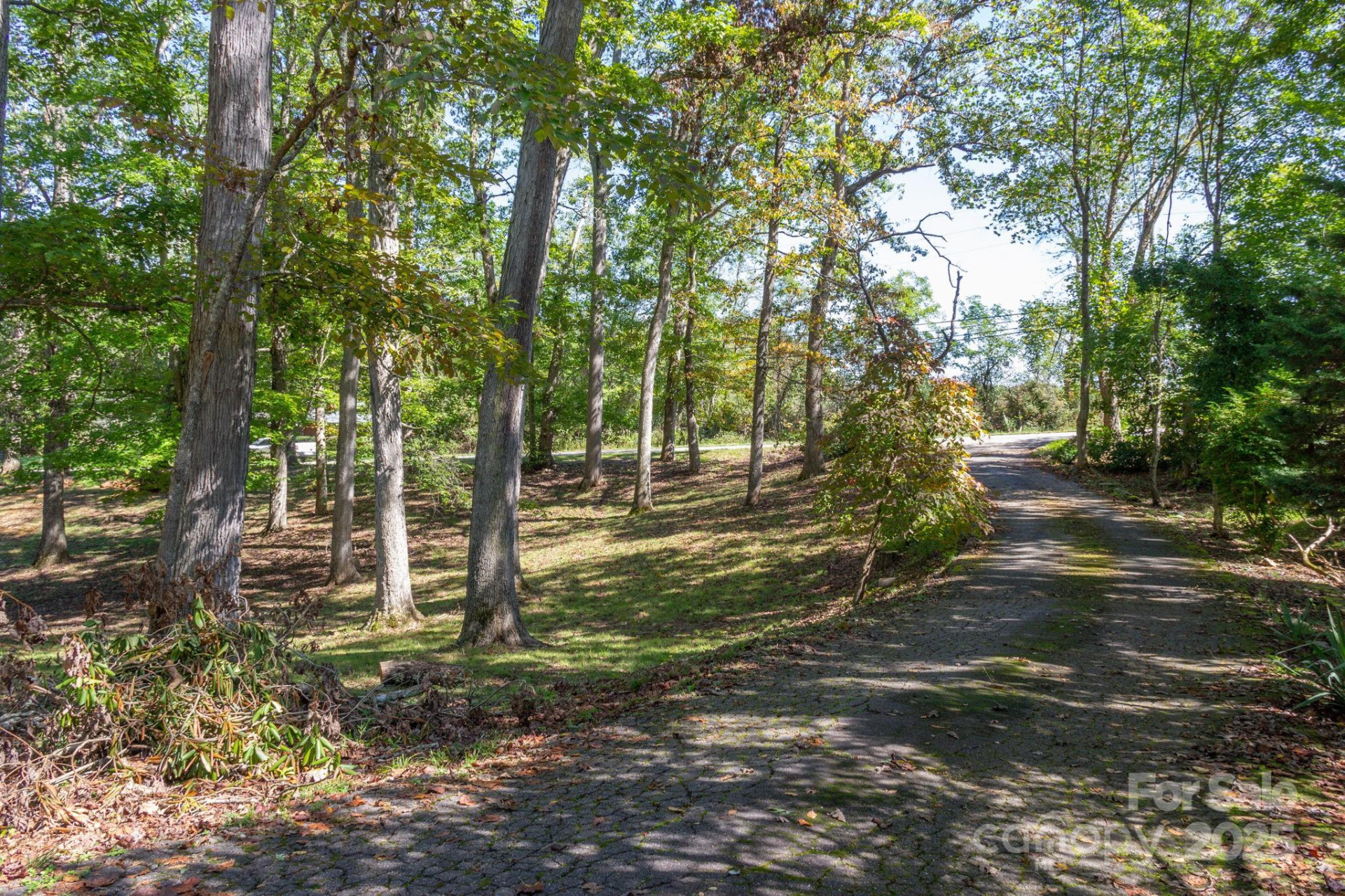 254 Mount Carmel Road - Photo 38
