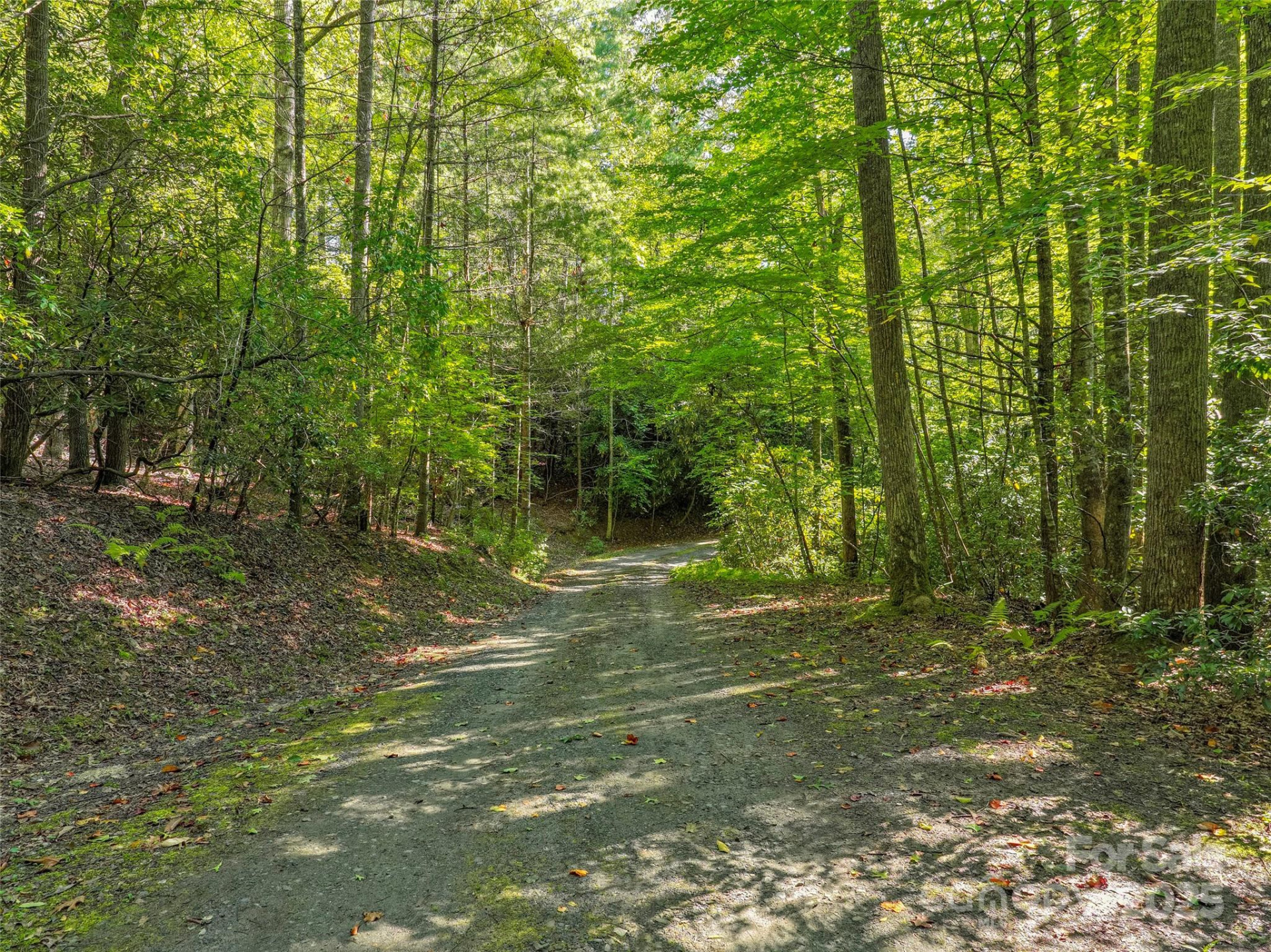 Lot 4 Rosewood Lane - Photo 3