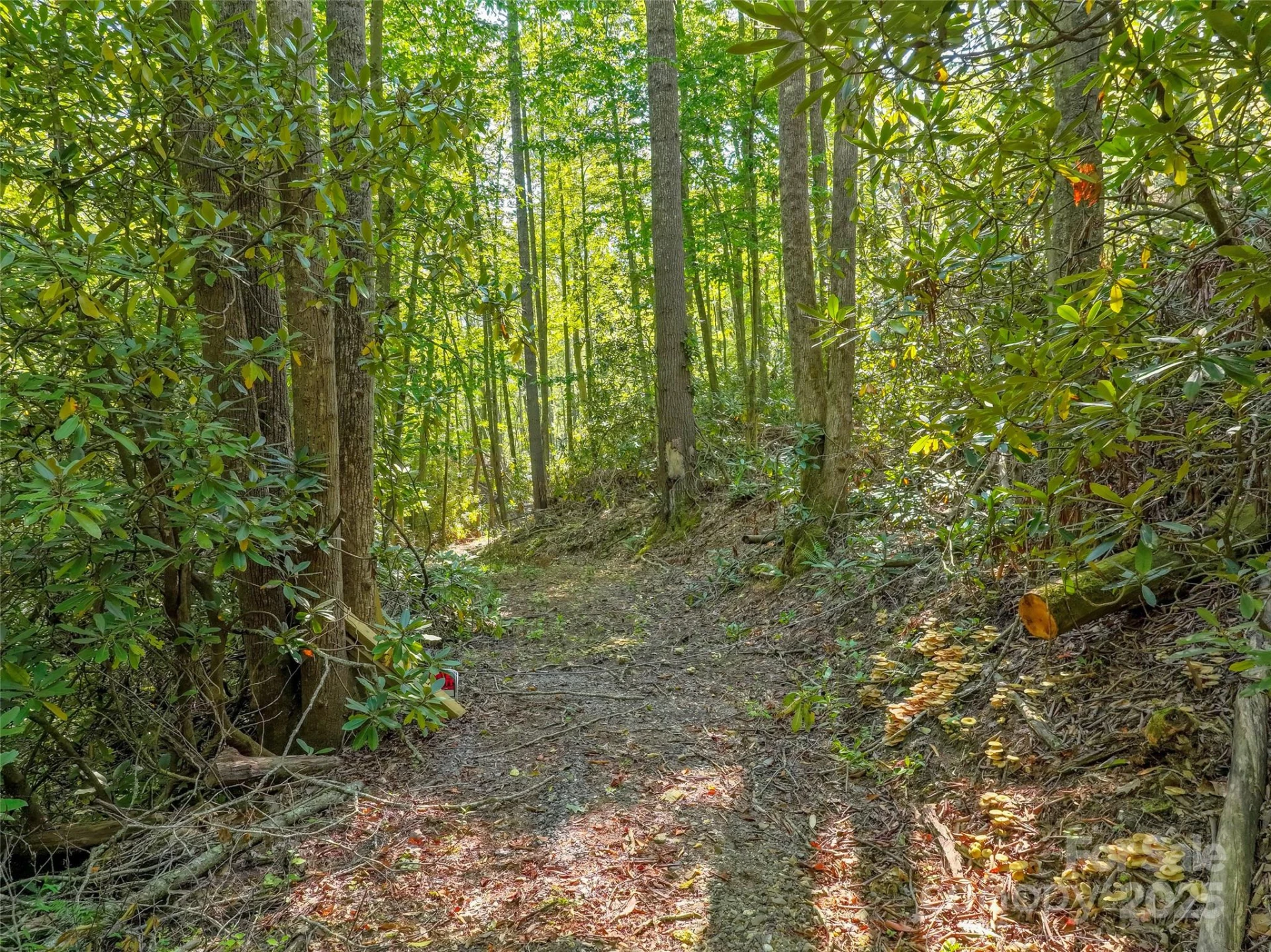 Lot 4 Rosewood Lane - Photo 4