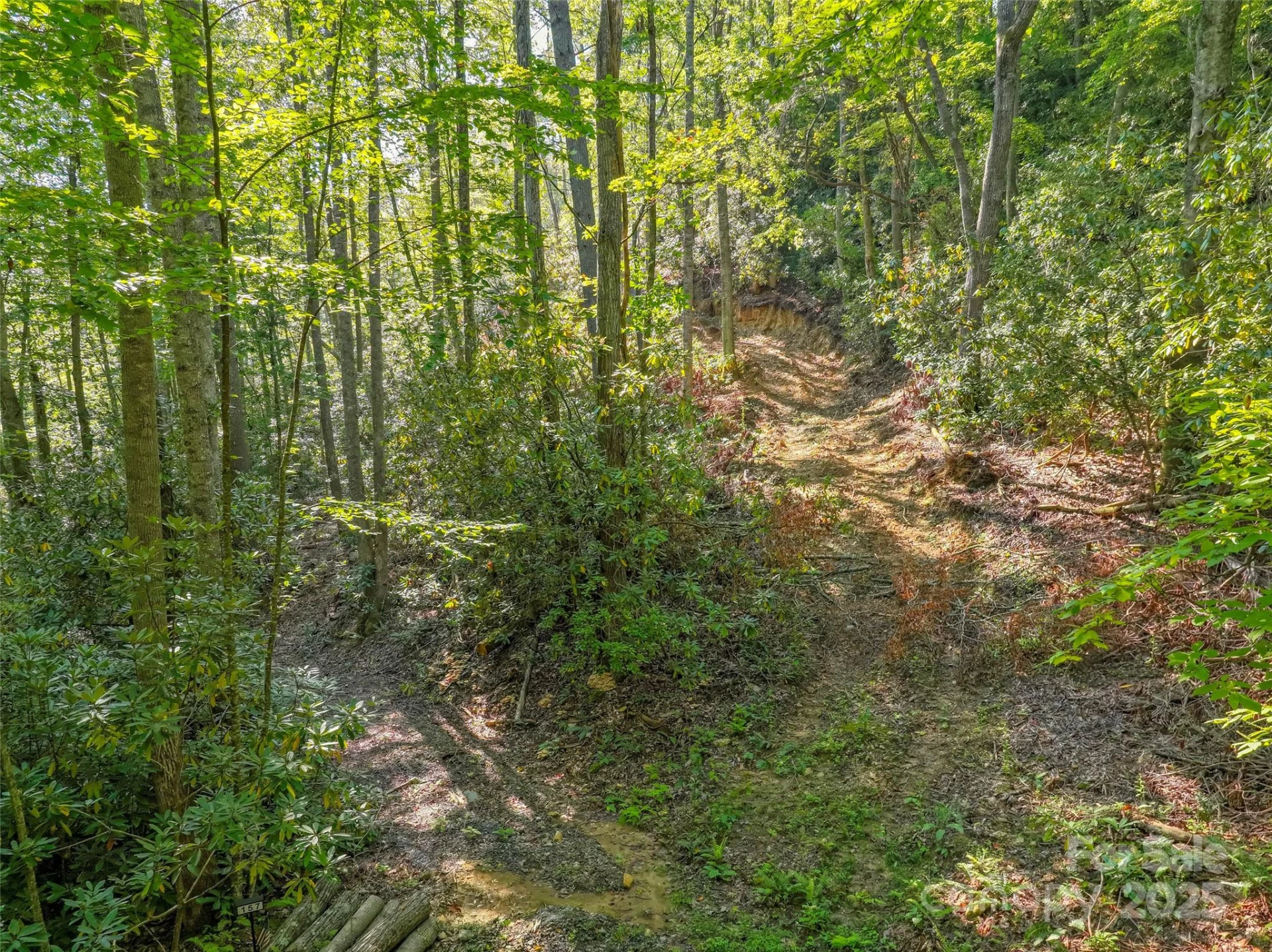 Lot 4 Rosewood Lane - Photo 5