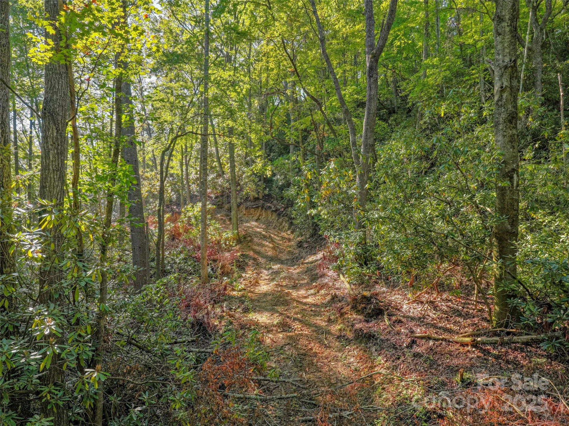 Lot 4 Rosewood Lane - Photo 6