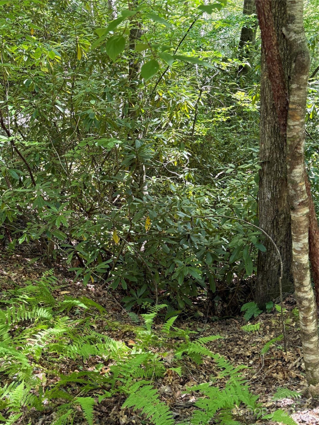 Lot 4 Rosewood Lane - Photo 7