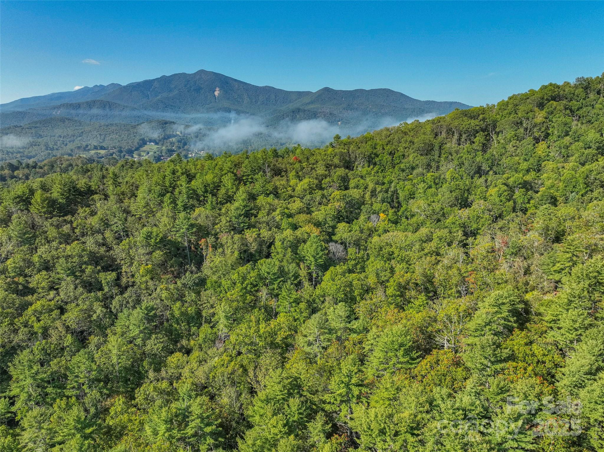 Lot 4 Rosewood Lane - Photo 8