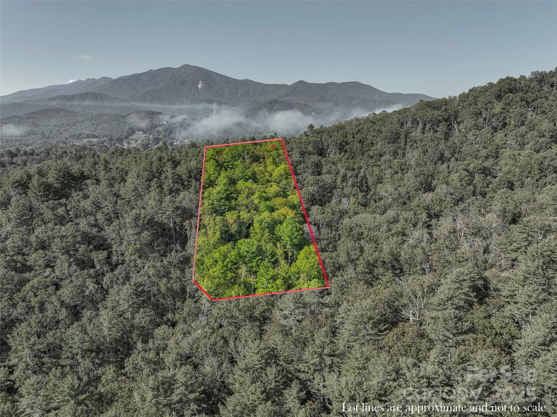 Lot 4 Rosewood Lane - Photo 10