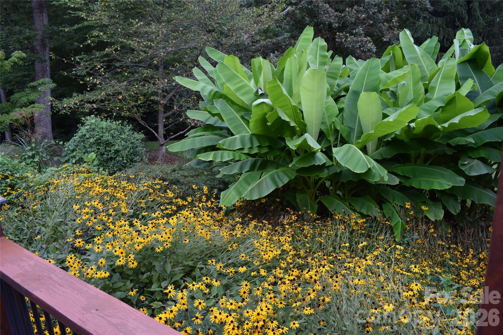 5 Kari Circle - Photo 29