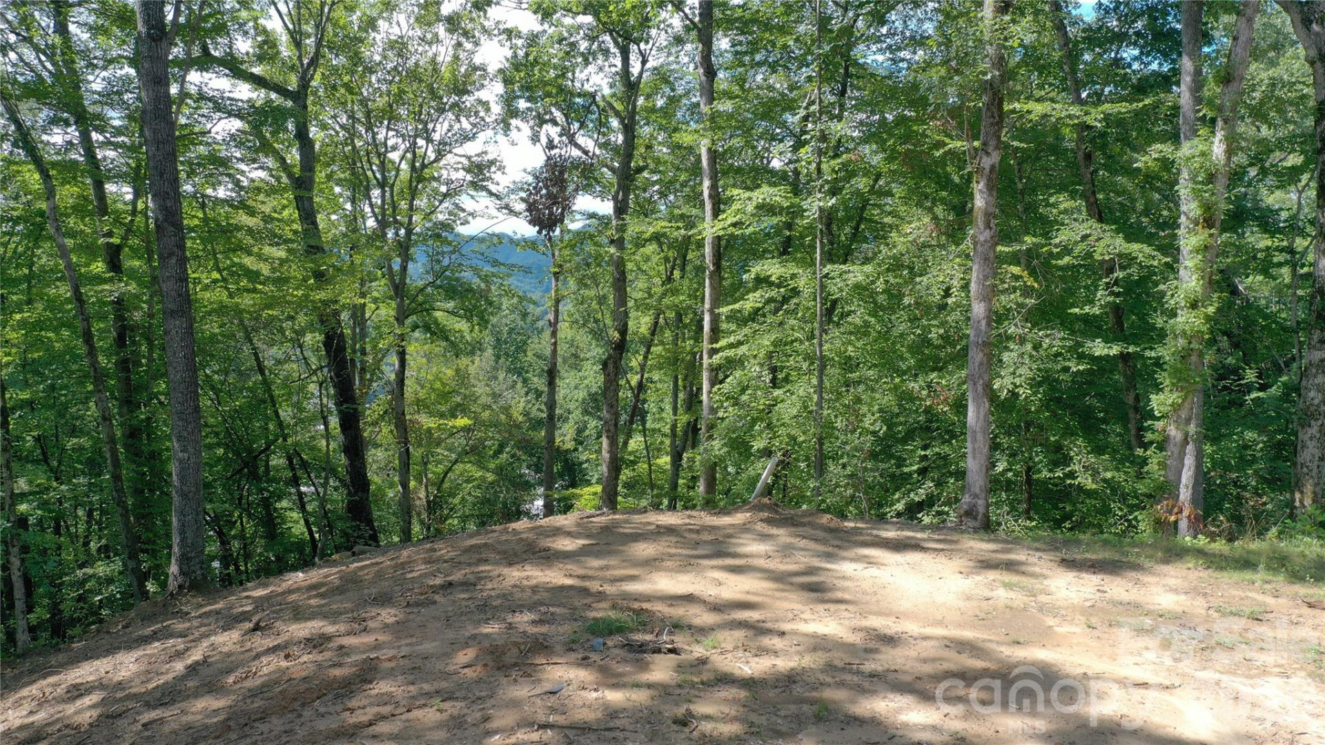 79 Bacon Drive #3 - Photo 14