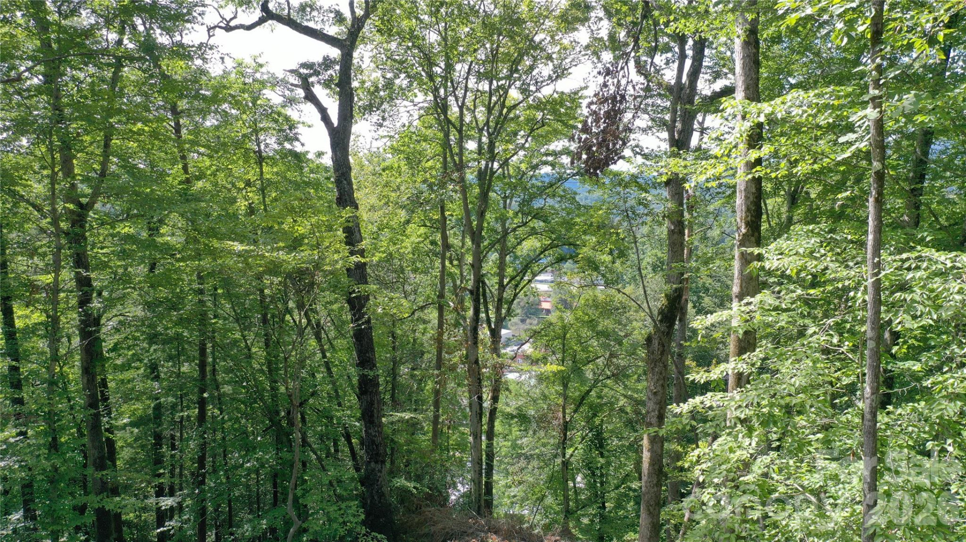 79 Bacon Drive #3 - Photo 15