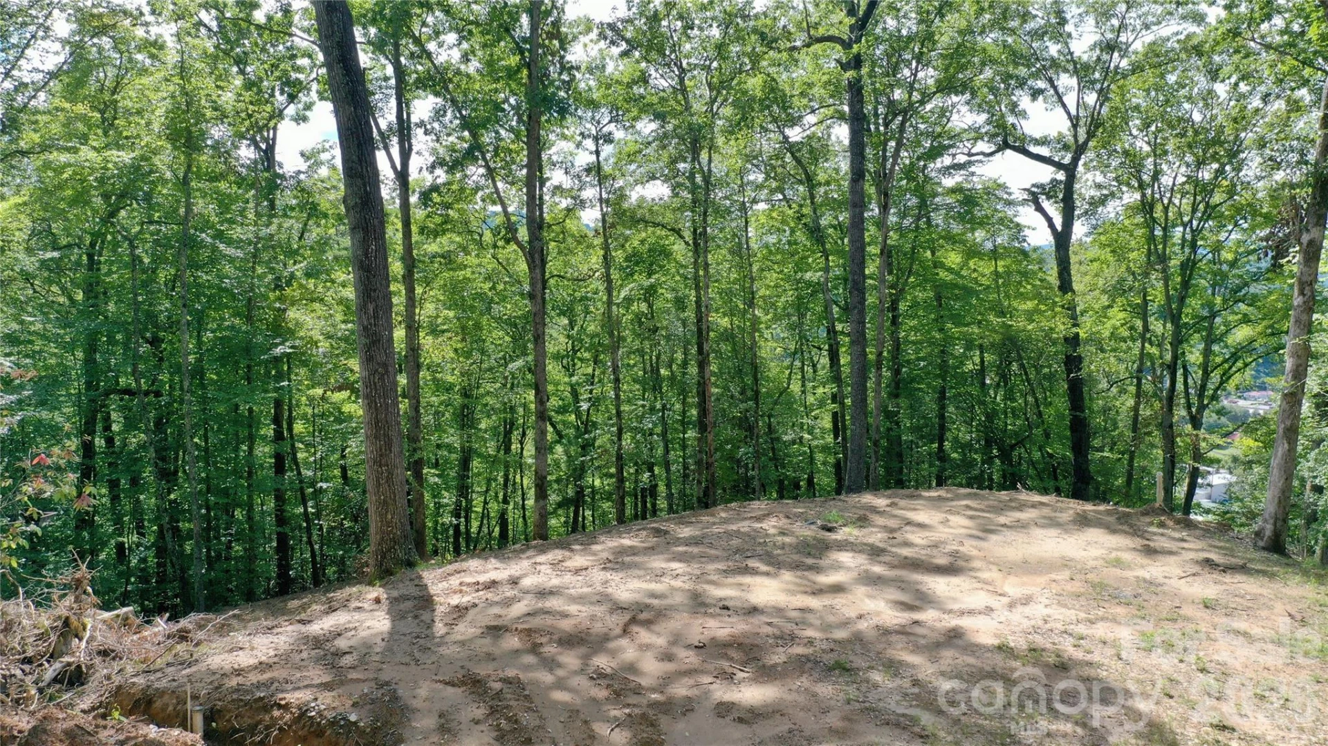 79 Bacon Drive #3 - Photo 19