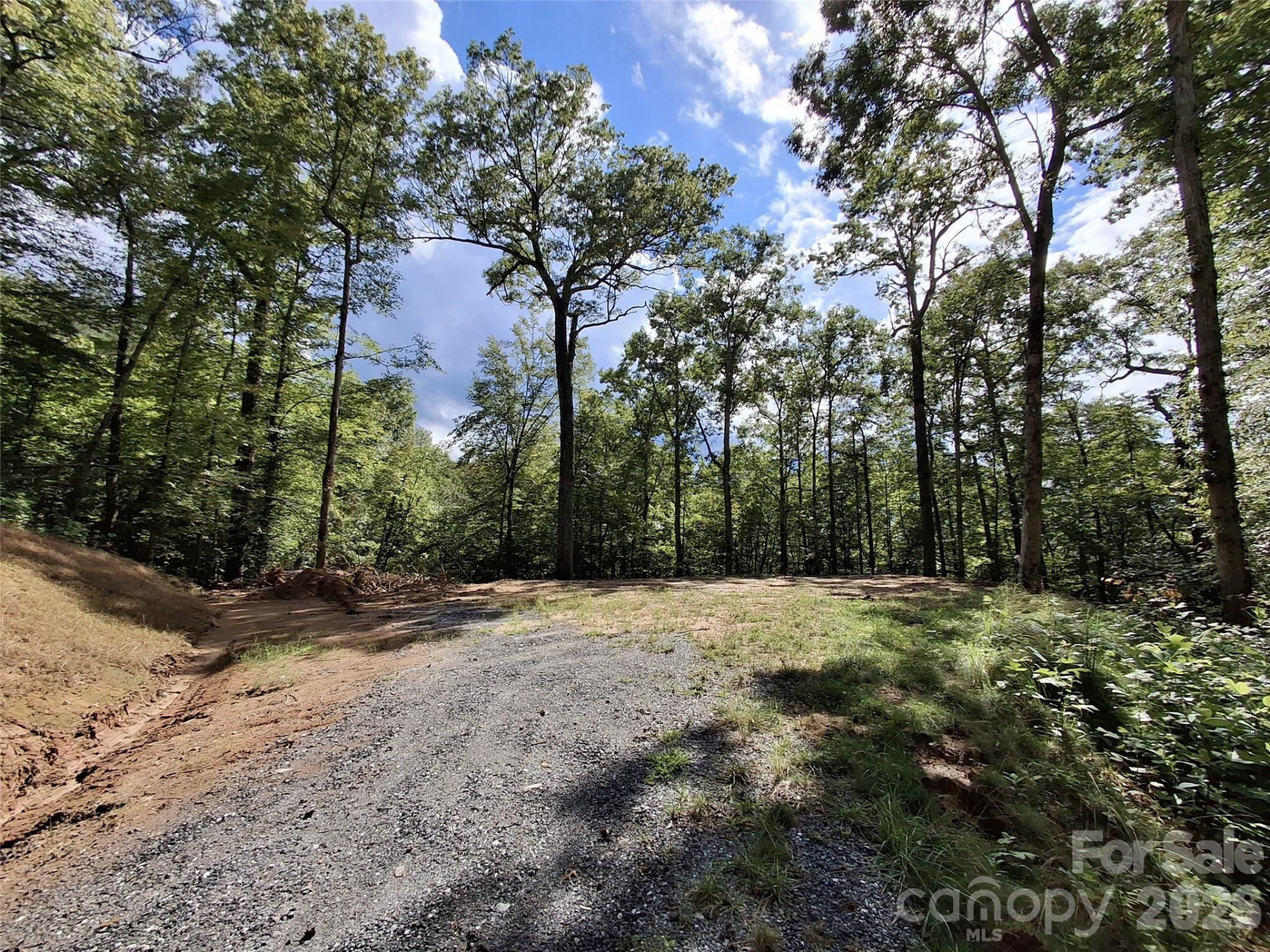 79 Bacon Drive #3 - Photo 3