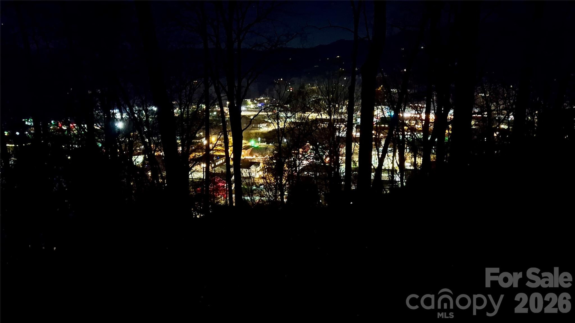 79 Bacon Drive #3 - Photo 4