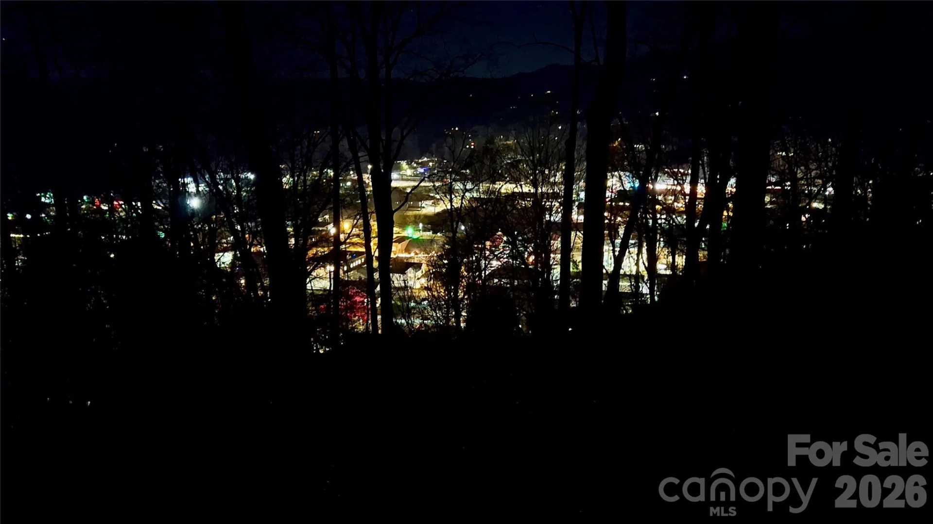 79 Bacon Drive #3 - Photo 4