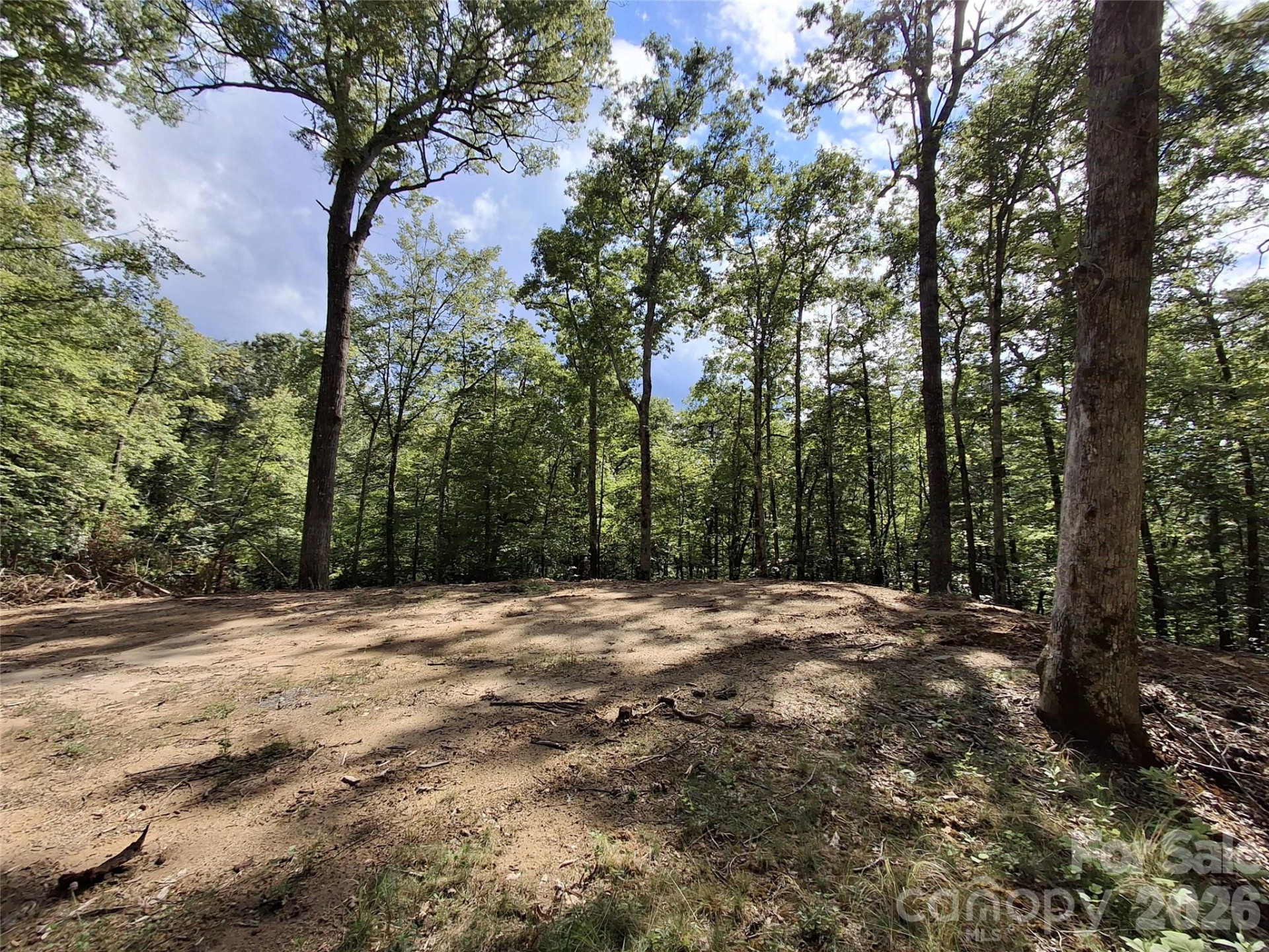 79 Bacon Drive #3 - Photo 6