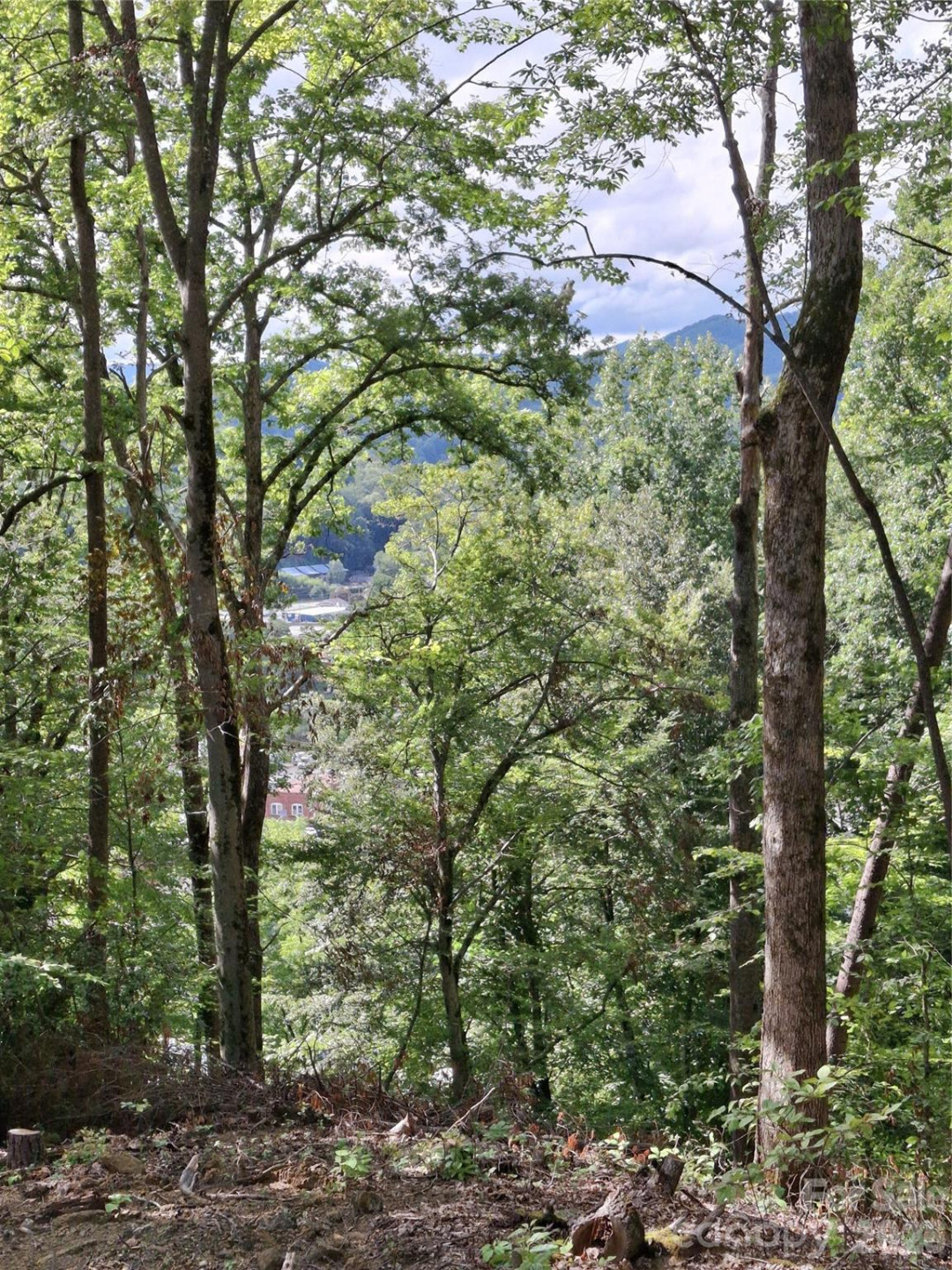 79 Bacon Drive #3 - Photo 7