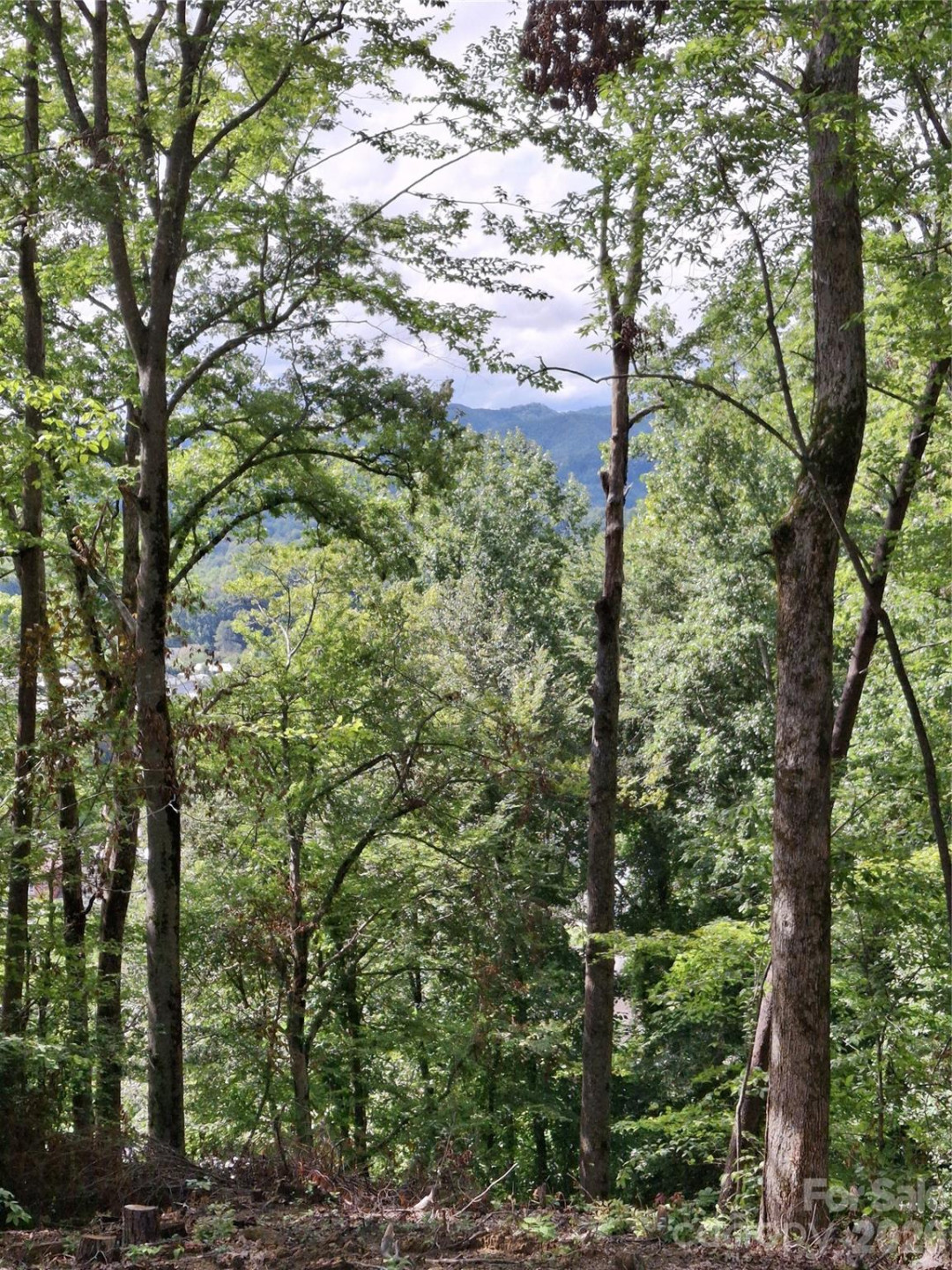 79 Bacon Drive #3 - Photo 8