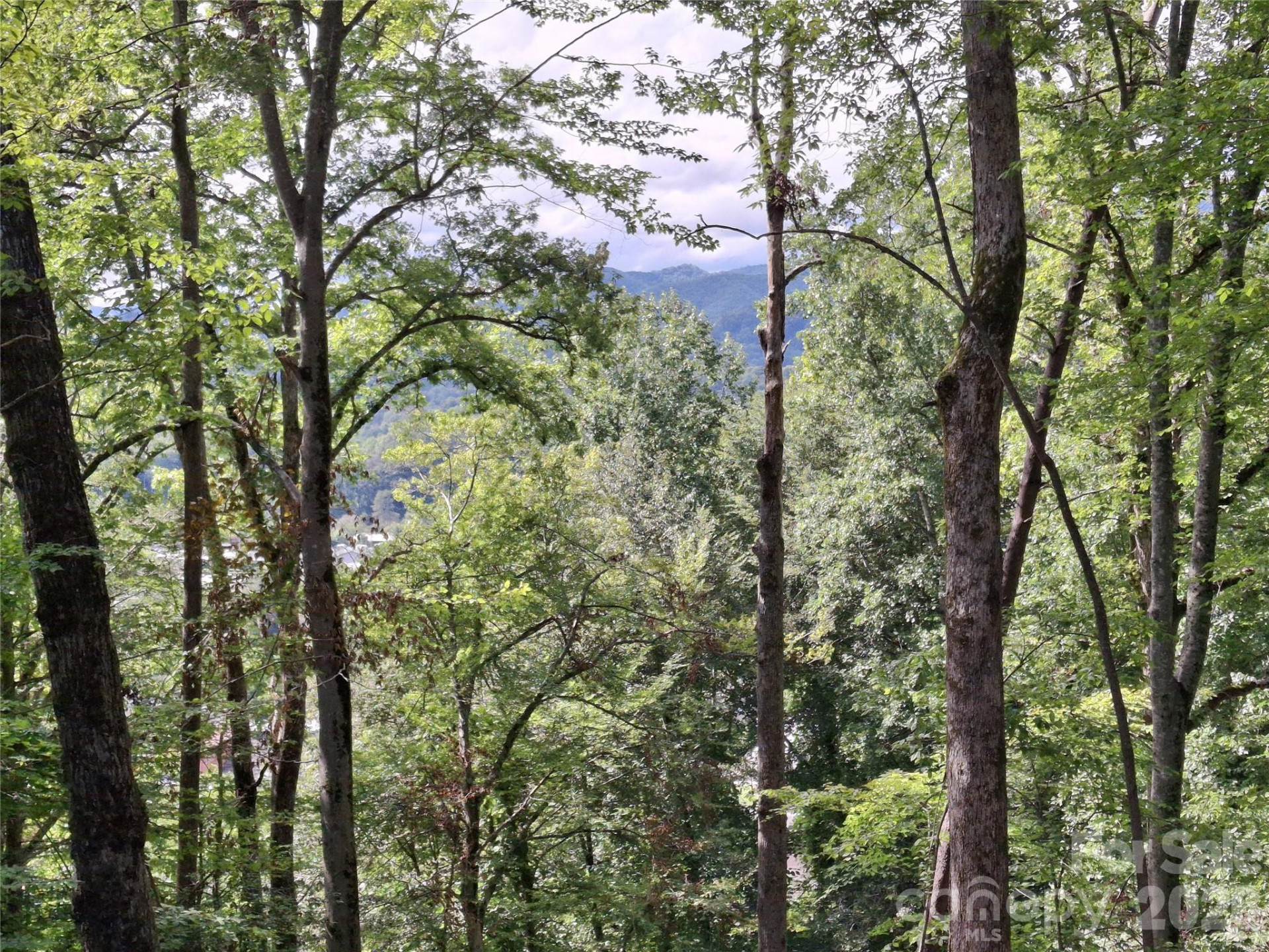 79 Bacon Drive #3 - Photo 9