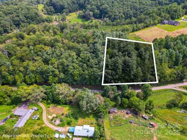 99999 Morgan Cove Road, Candler, NC, 28715