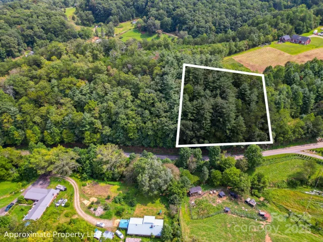 99999 Morgan Cove Road, Candler, NC, 28715