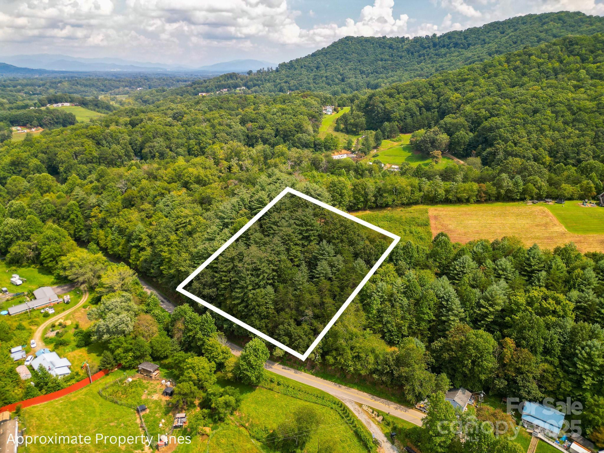 99999 Morgan Cove Road - Photo 2