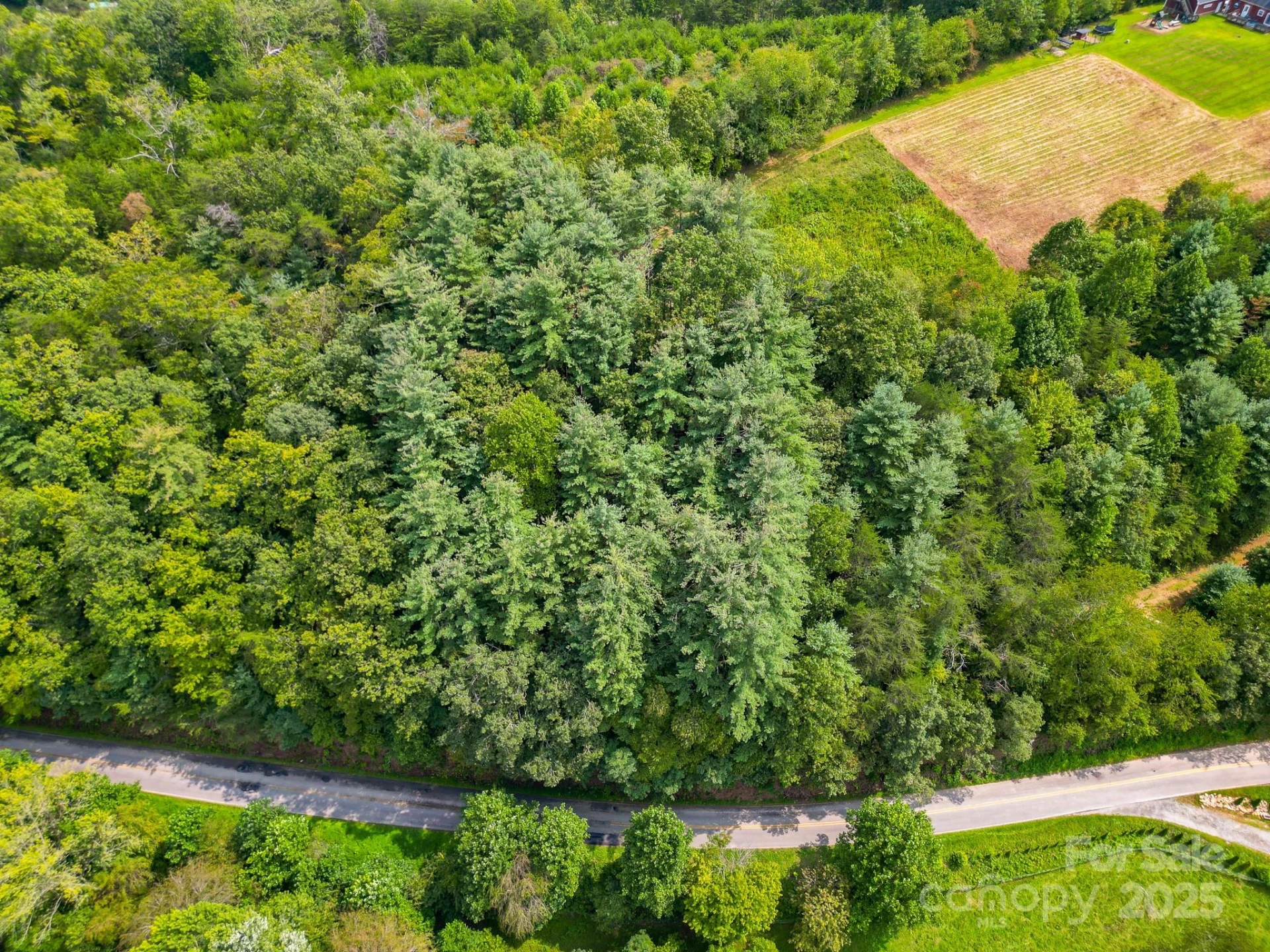 99999 Morgan Cove Road - Photo 5