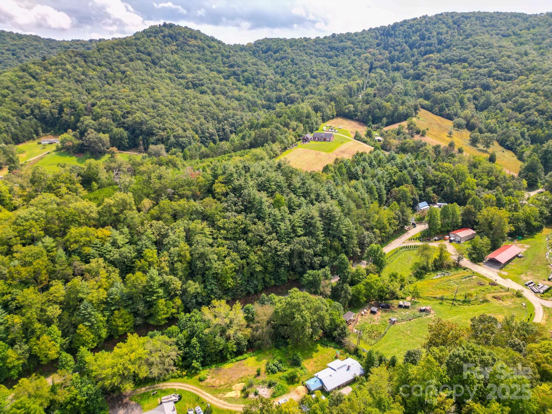 99999 Morgan Cove Road - Photo 6