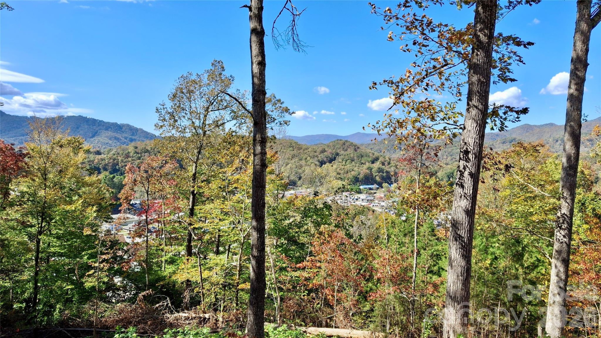 81 Bacon Drive #2 - Photo 2