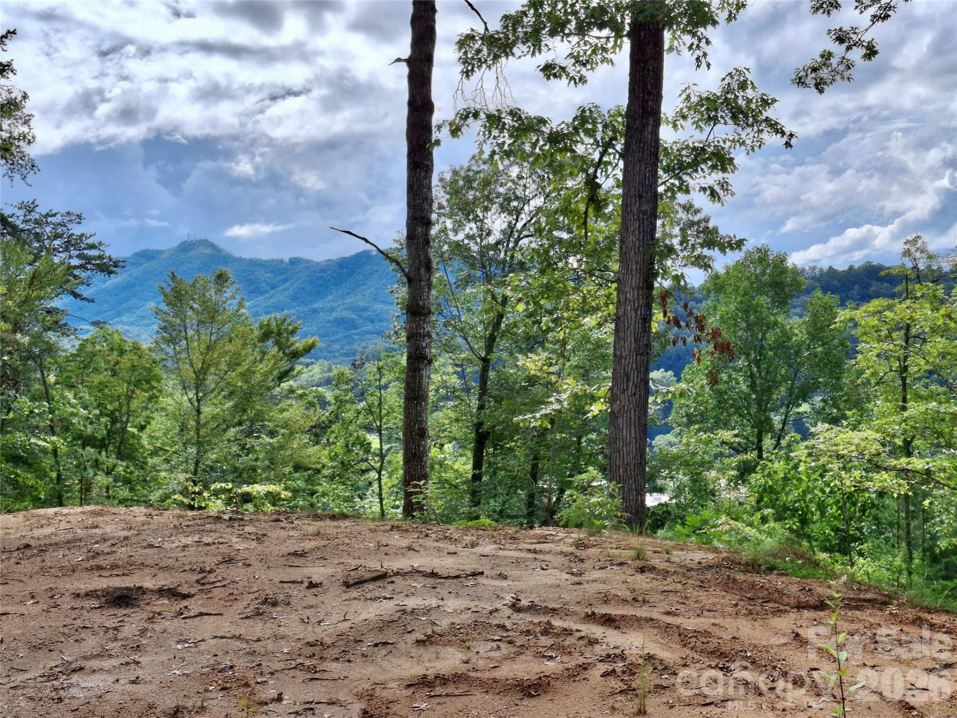 81 Bacon Drive #2 - Photo 21