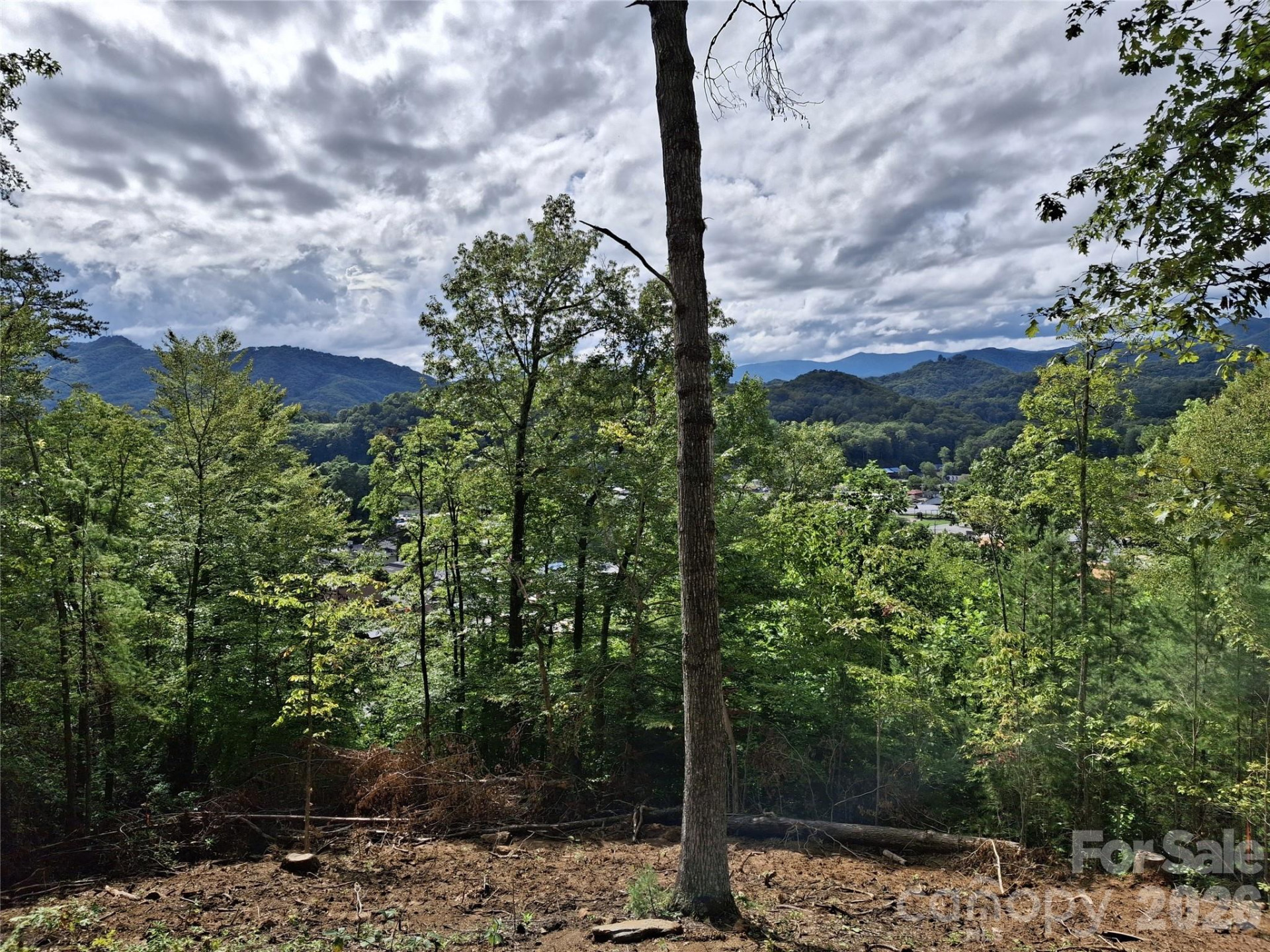 81 Bacon Drive #2 - Photo 24