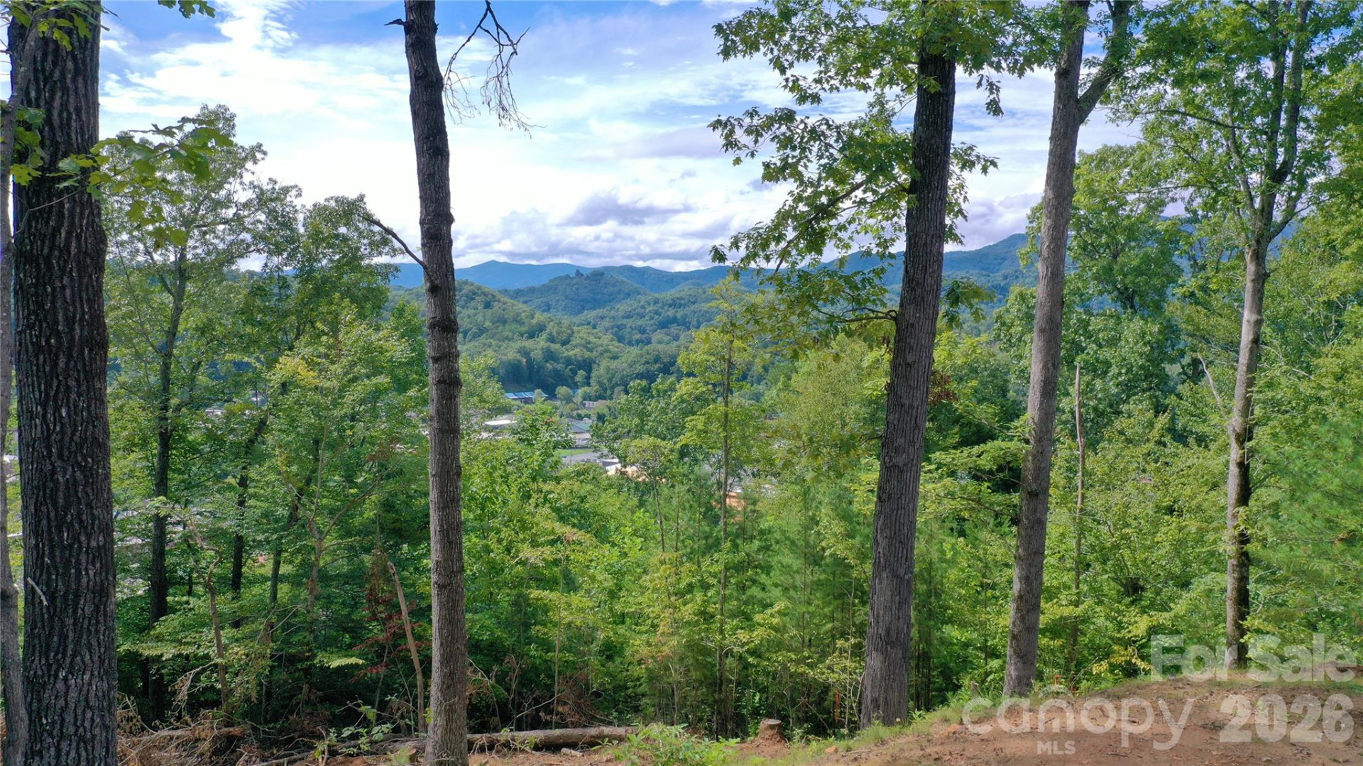 81 Bacon Drive #2 - Photo 33