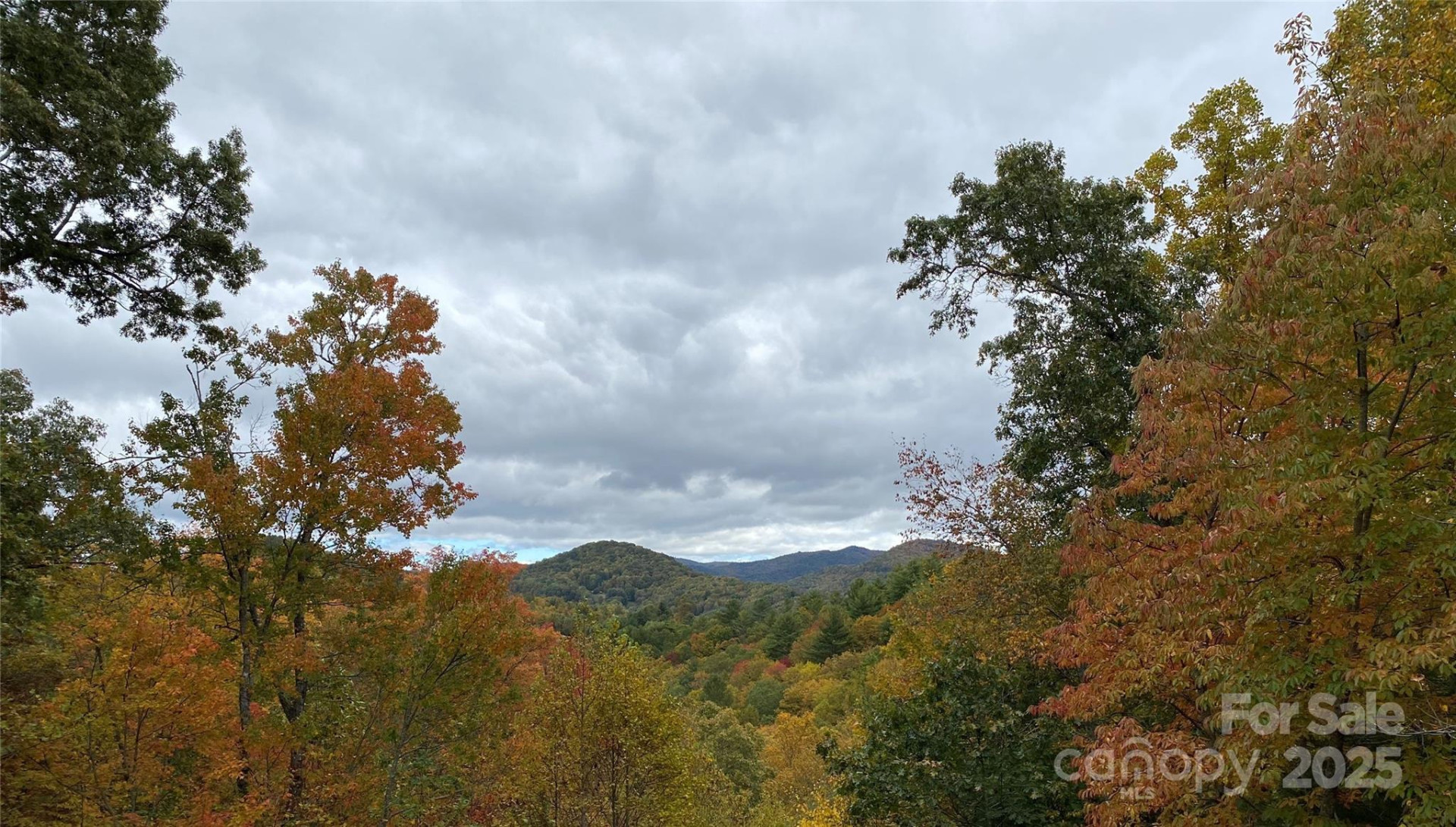 Lot 6 Rosewood Lane - Photo 3