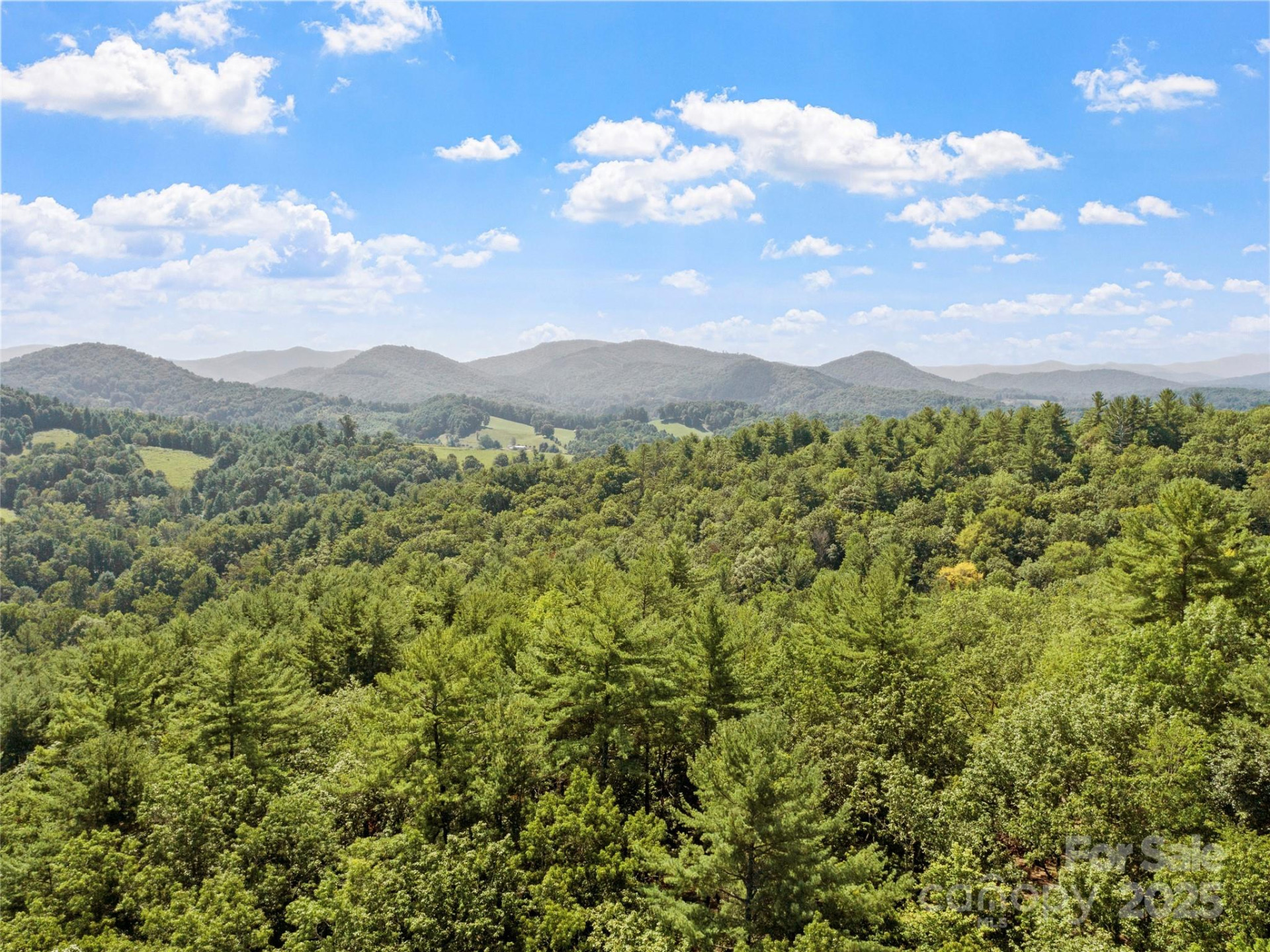 Lot 6 Rosewood Lane - Photo 6