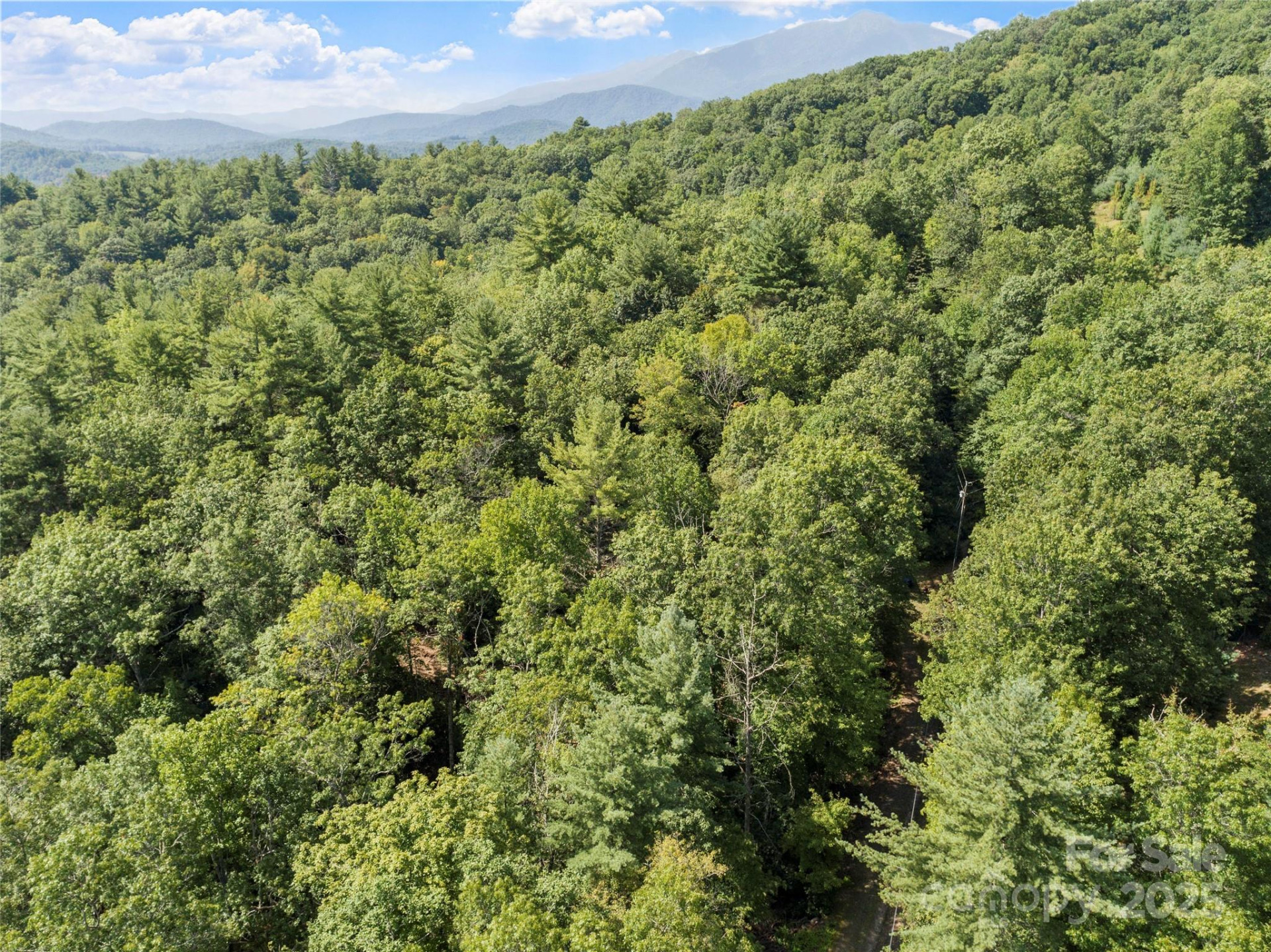 Lot 6 Rosewood Lane - Photo 8