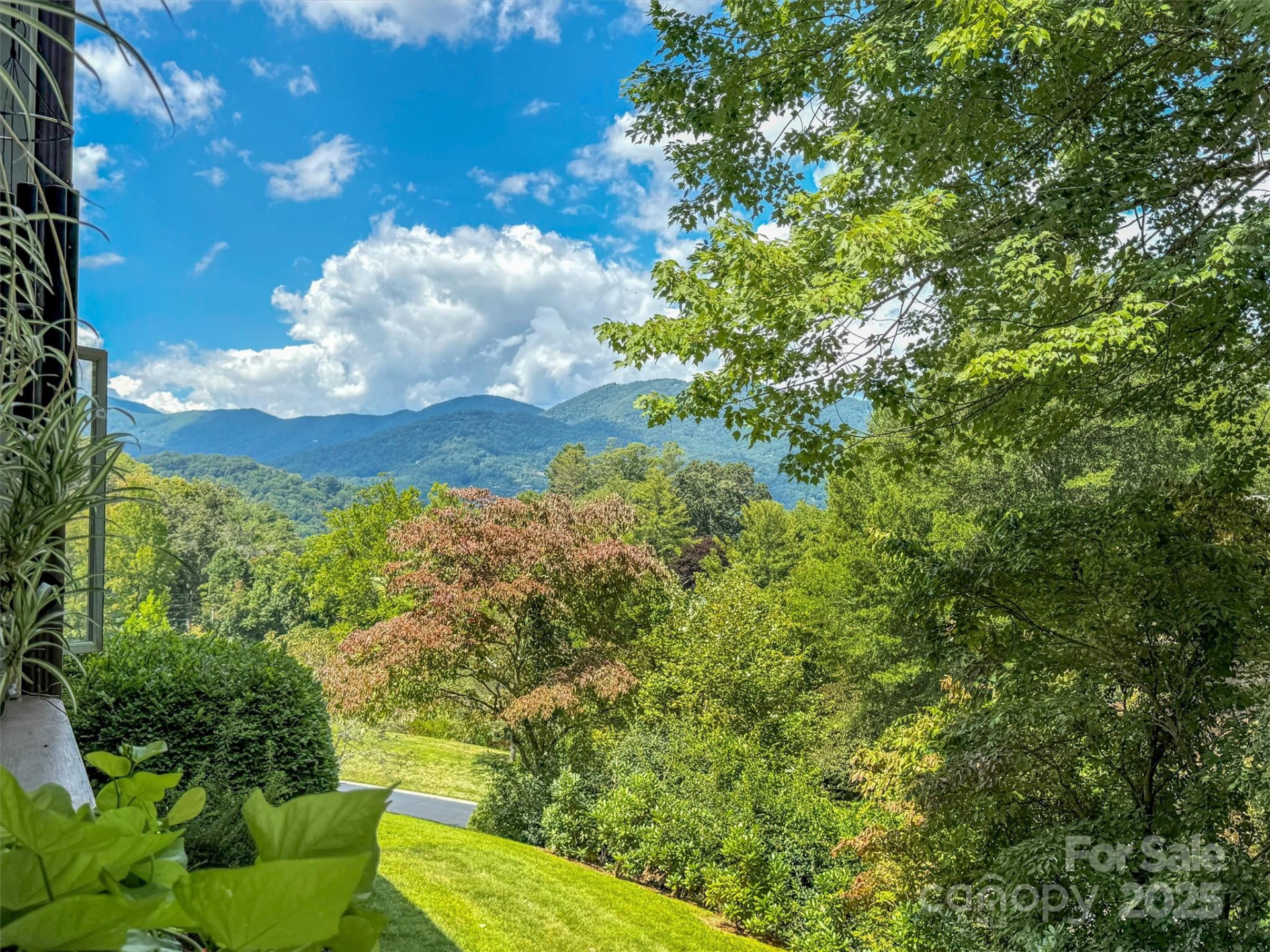 87 Willow Road #C-2 - Photo 14