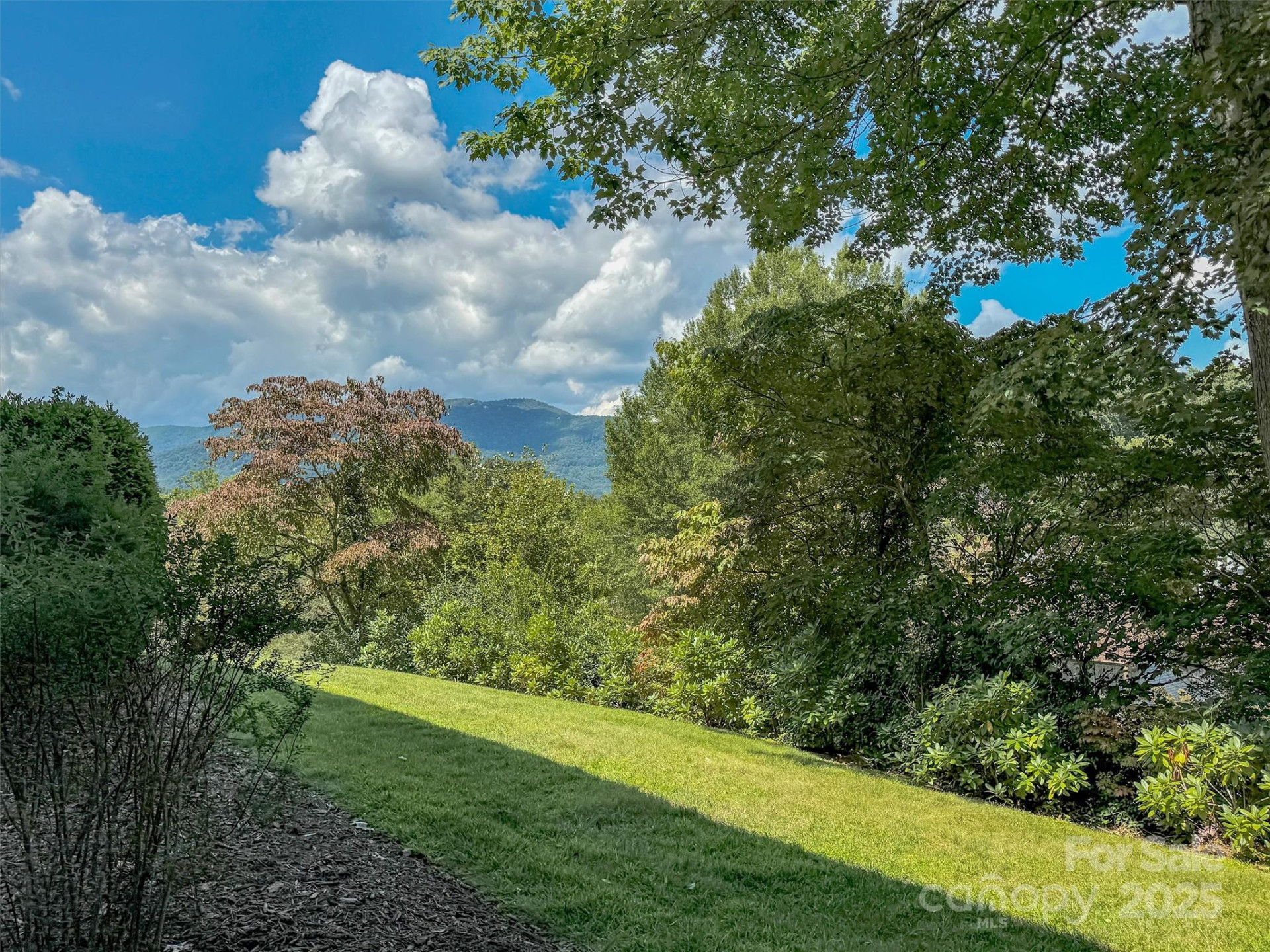 87 Willow Road #C-2 - Photo 42