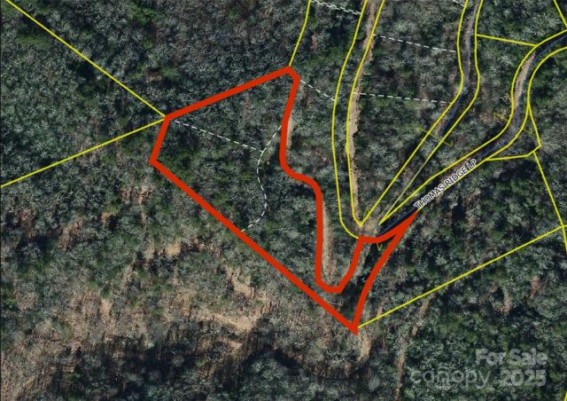0000 Thomas Ridge Loop, Green Mountain, NC, 28740