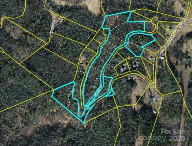 0000 Thomas Ridge Loop, Green Mountain, NC, 28740