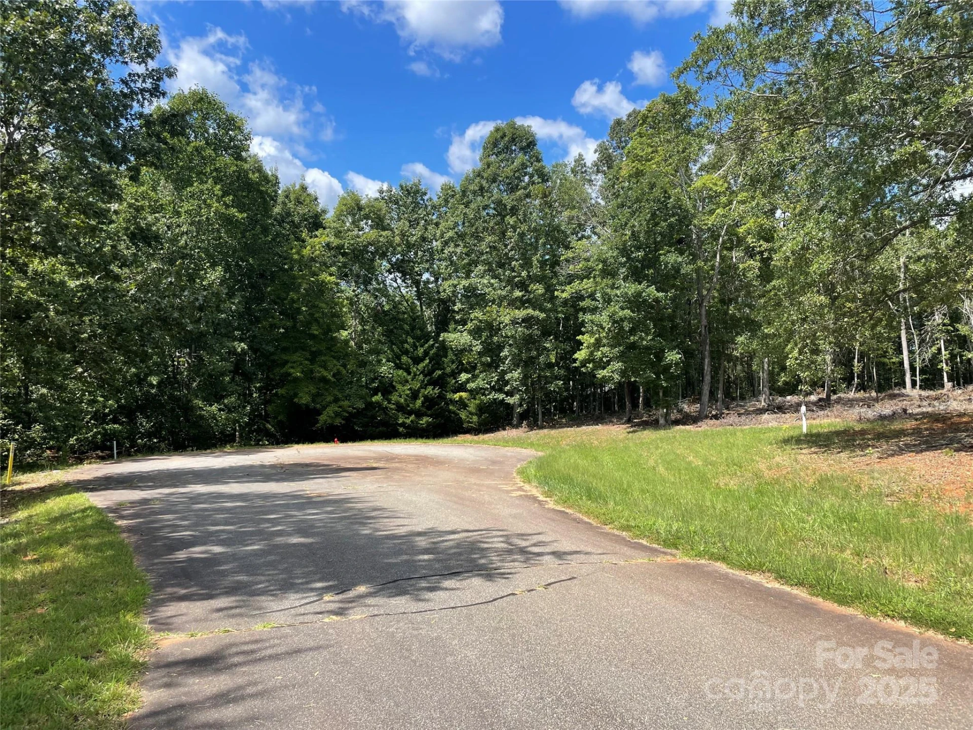 00 Carriage Drive - Photo 3